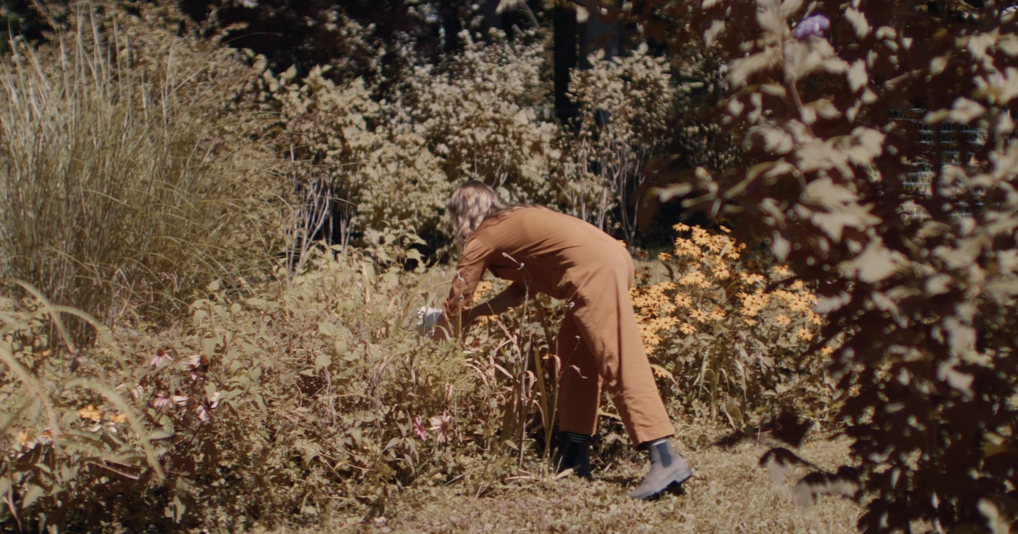 2023 Perennial boarder garden maintenance | Pleasant Valley