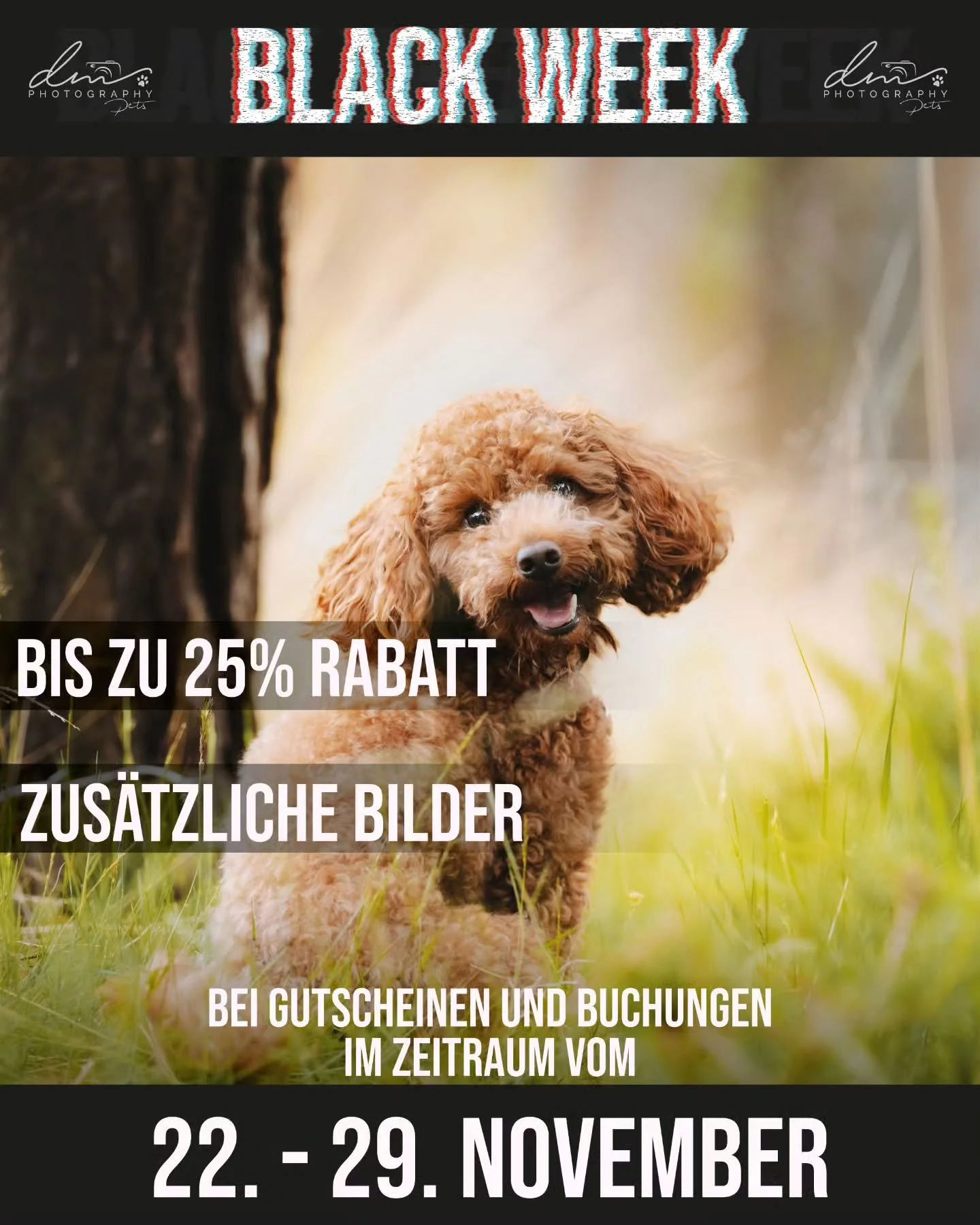 Sichert euch die Black Week Deals vom 22.11. bis zum 29.11.!🐾 Schreibt mir bei Interesse gerne eine DM oder schlagt in meinem Online Shop zu! Eignet sich auch perfekt als Weihnachtsgeschenk! 🎁

#dog#dogsofinstagram#dogphotography#dogphotographer#pe