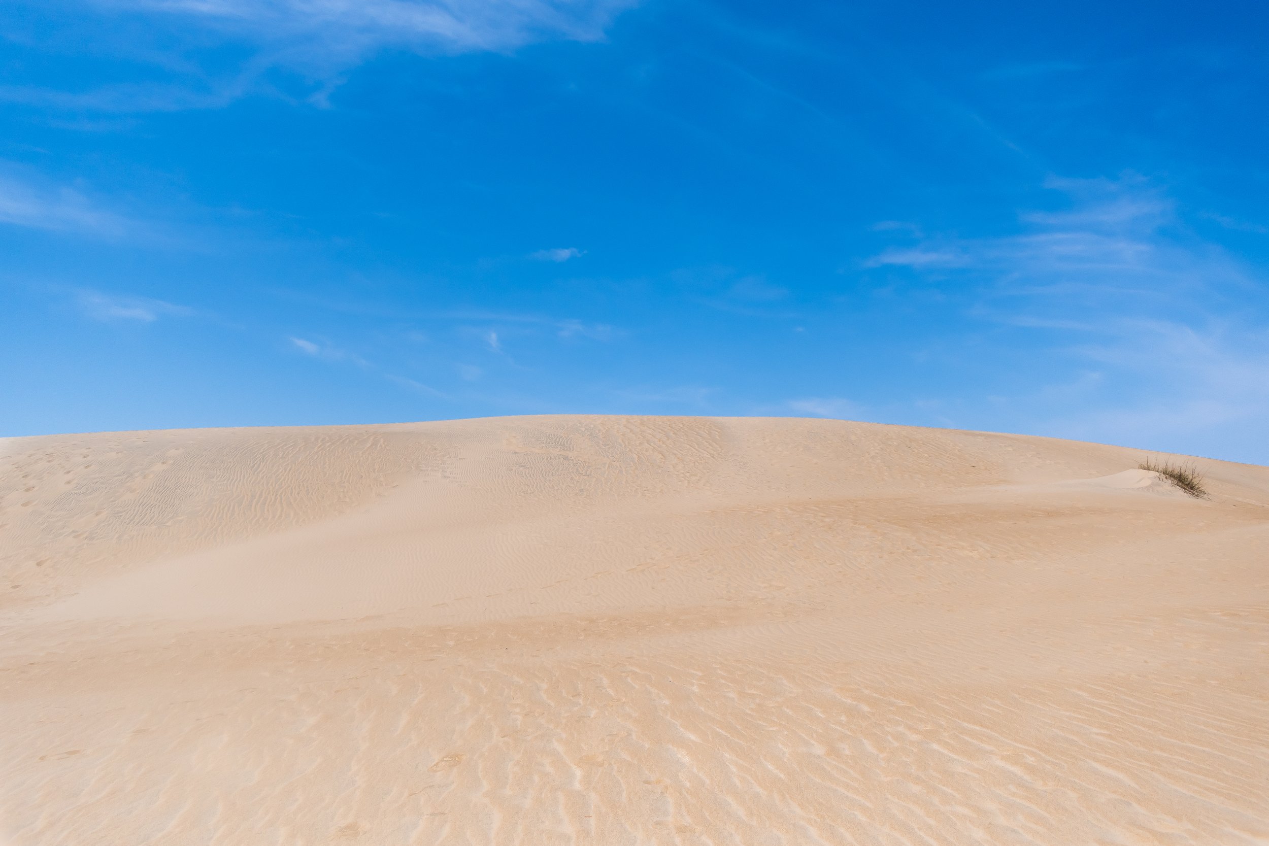 DSC_0437.jpg