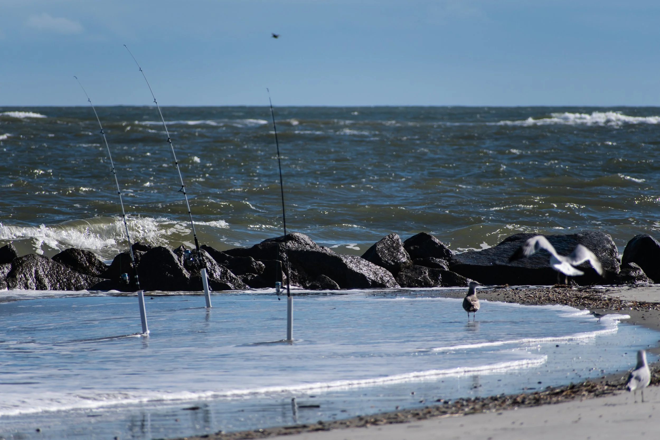 DSC_0336.jpg