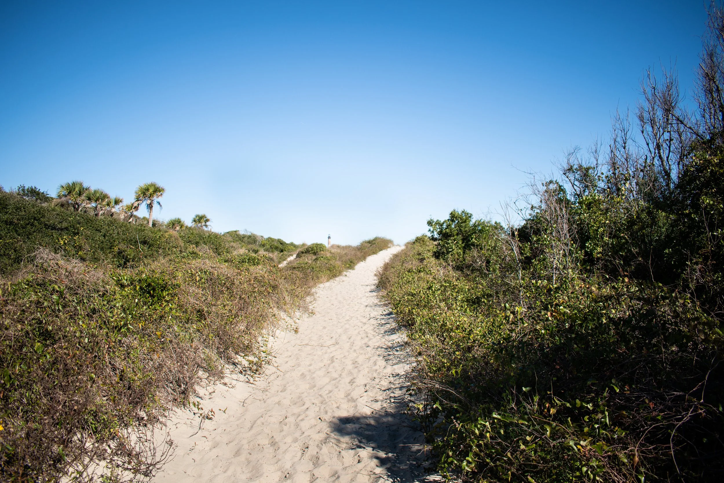 DSC_0292.jpg