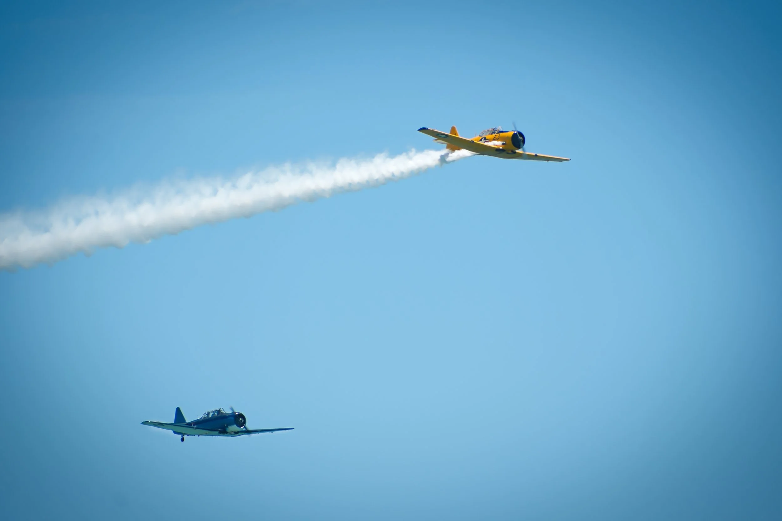 DSC_2380.jpg