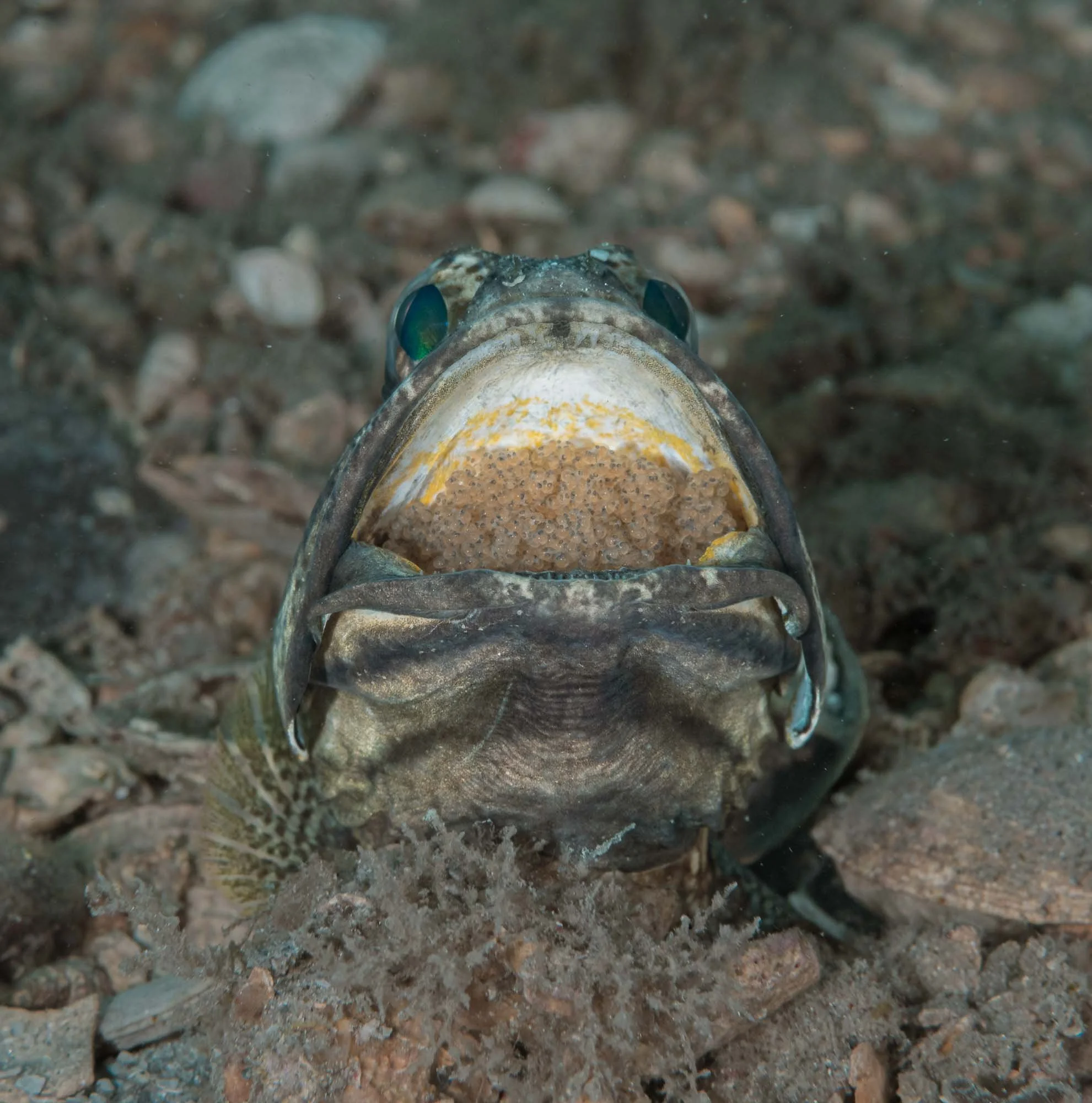 Timing is everything!