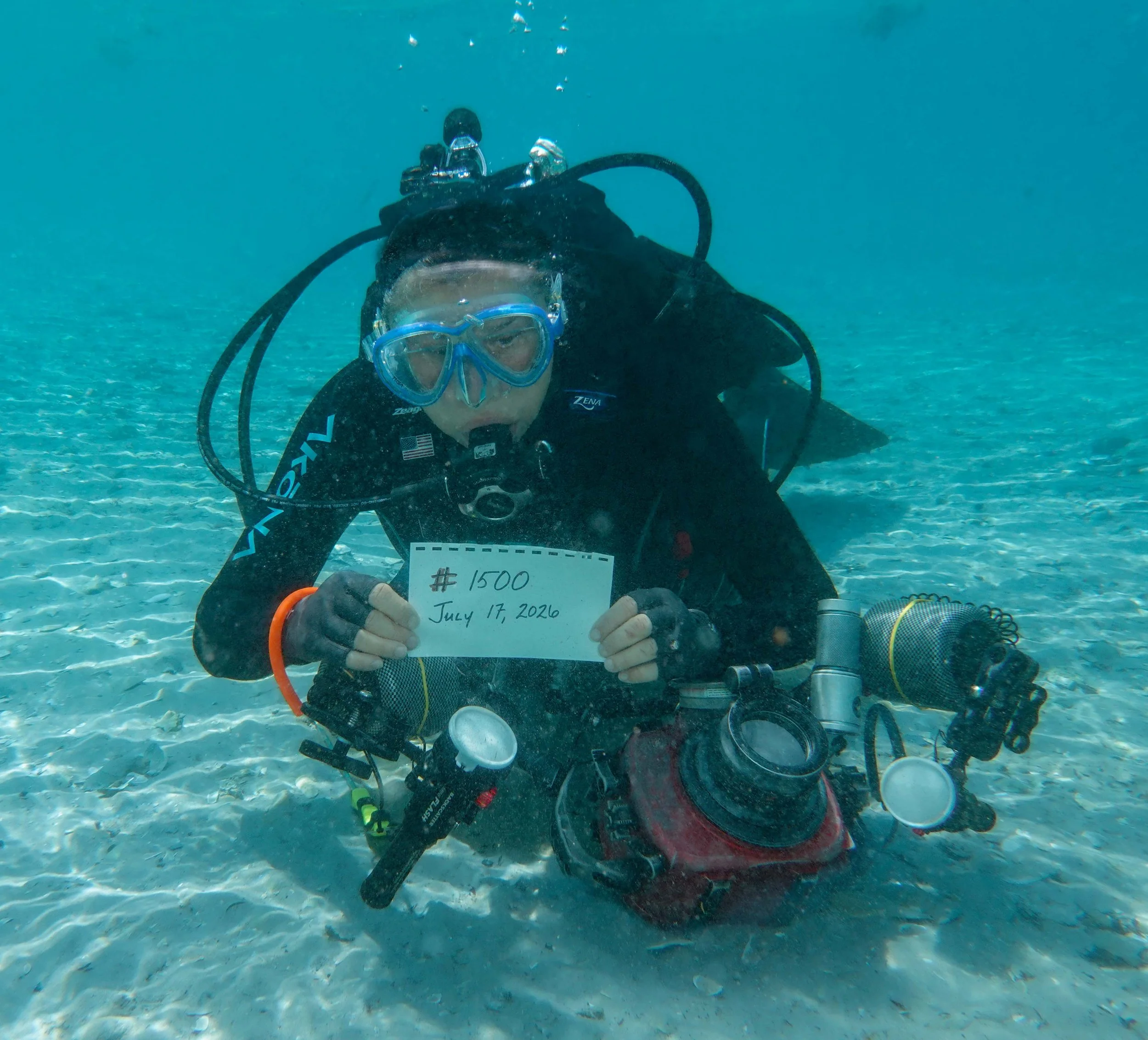 I logged dive #1500 . . .