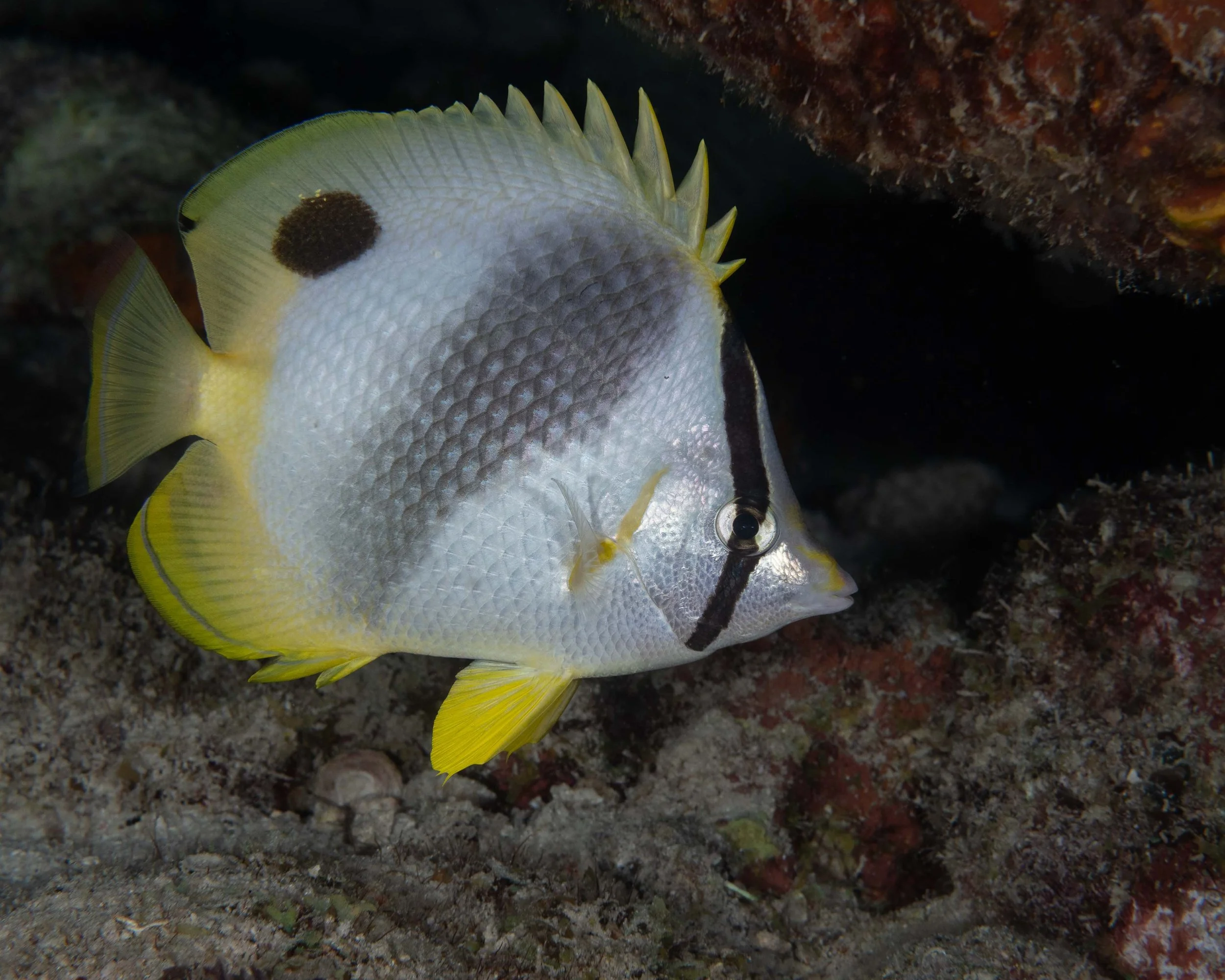 Laura Kushner - share 12.jpg