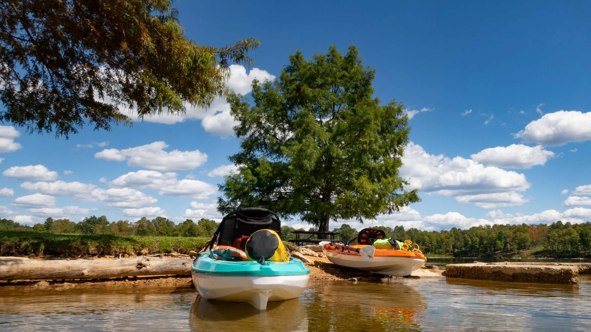 View from the water. Snorkeling. Summersville Lake