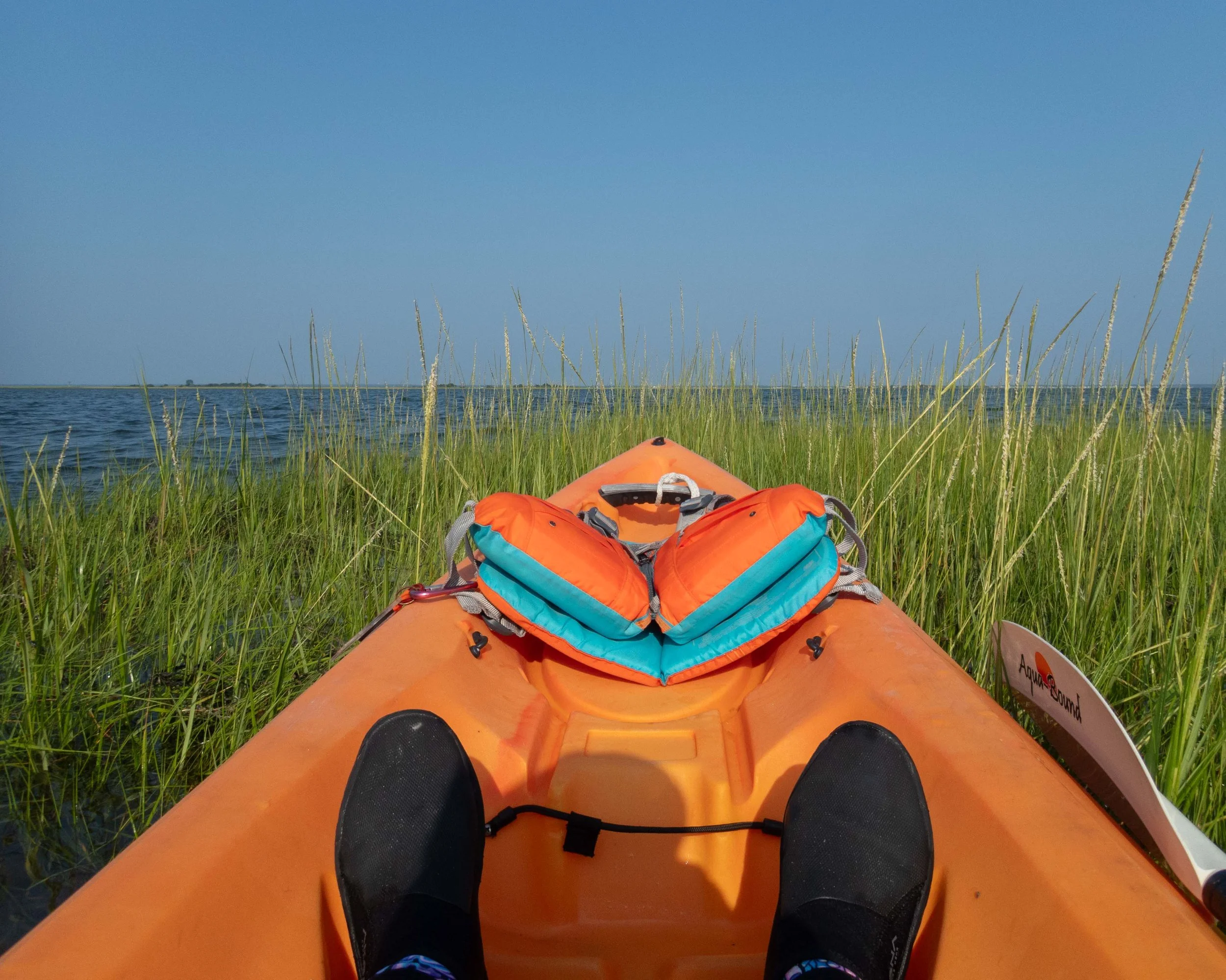Back to Barnegat Bay!