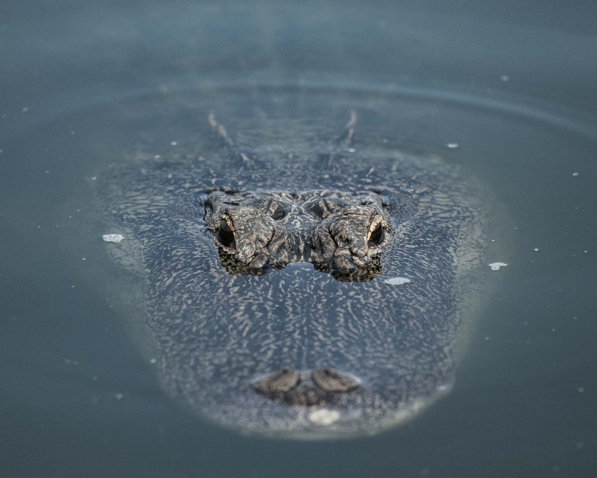 Now that was unexpected!