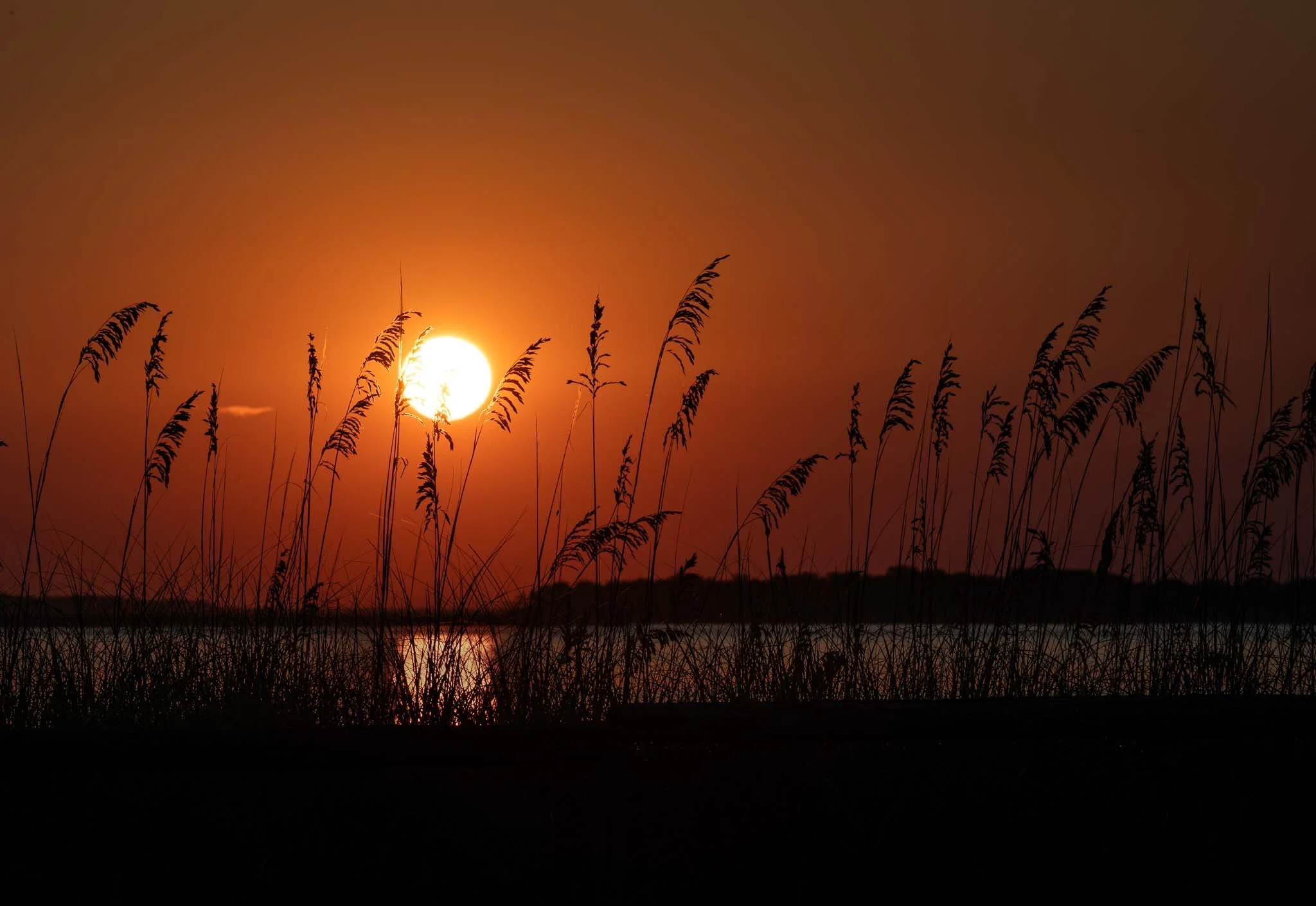 Sunset at Fort Clinch State Park, Fernandina Beach FL.