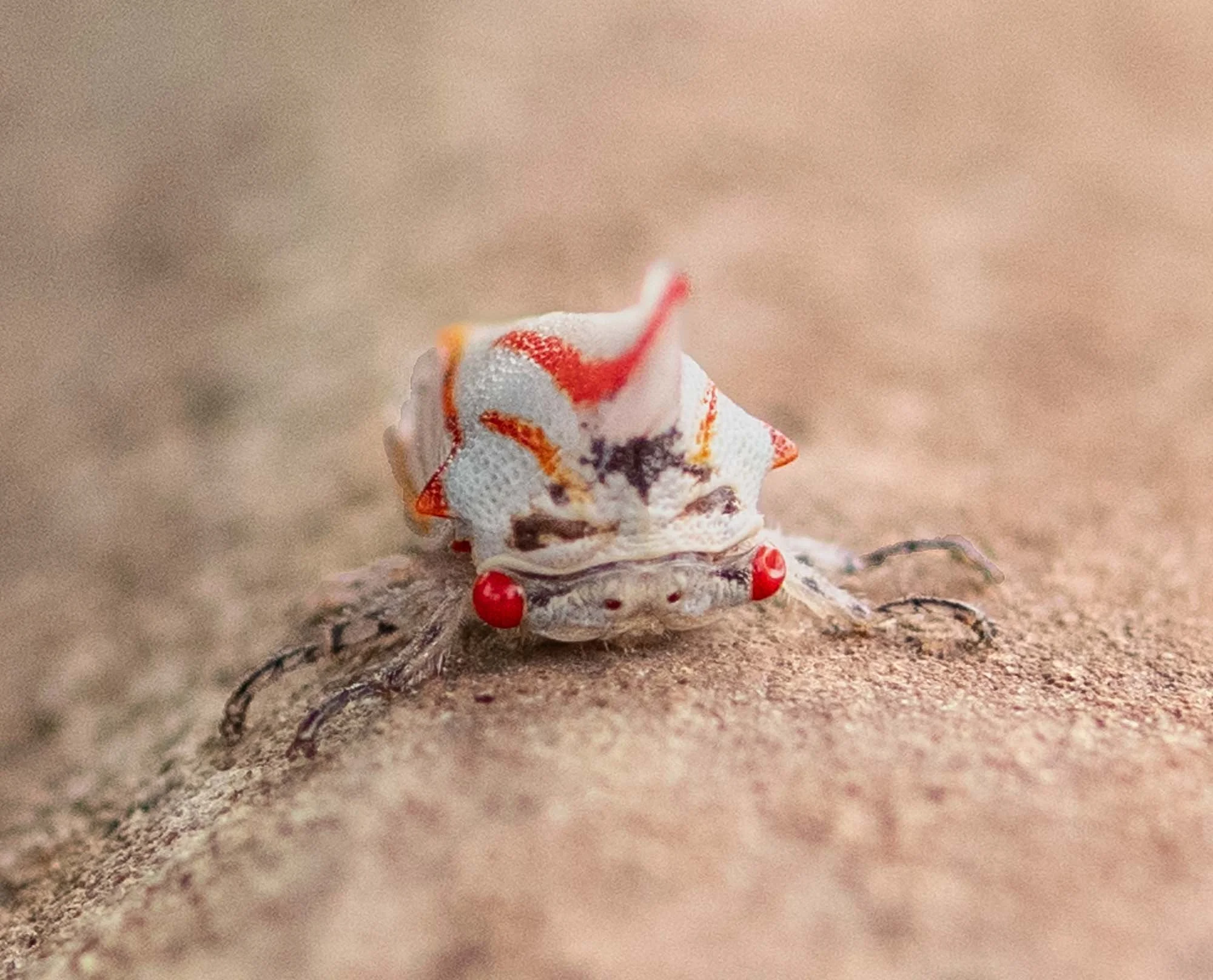 Sometimes it’s the little things . . .