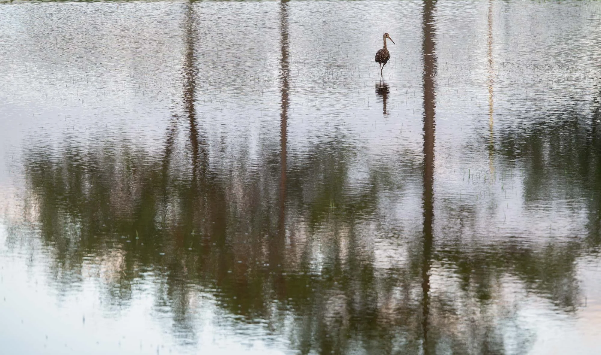 Small-in-the-frame photography