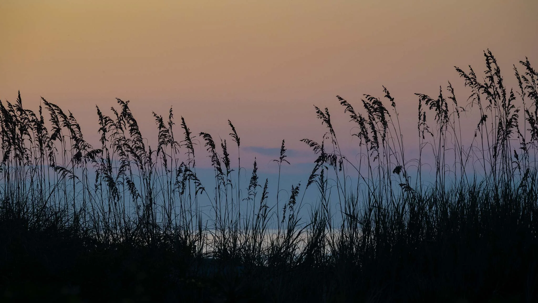 Minutes before sunrise. Myrtle Beach SP.