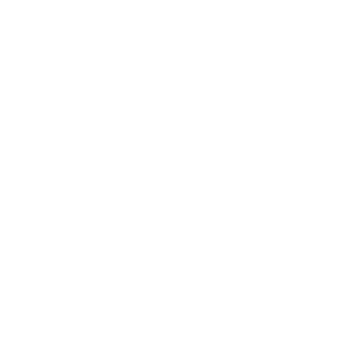 Birju Shah signature logo
