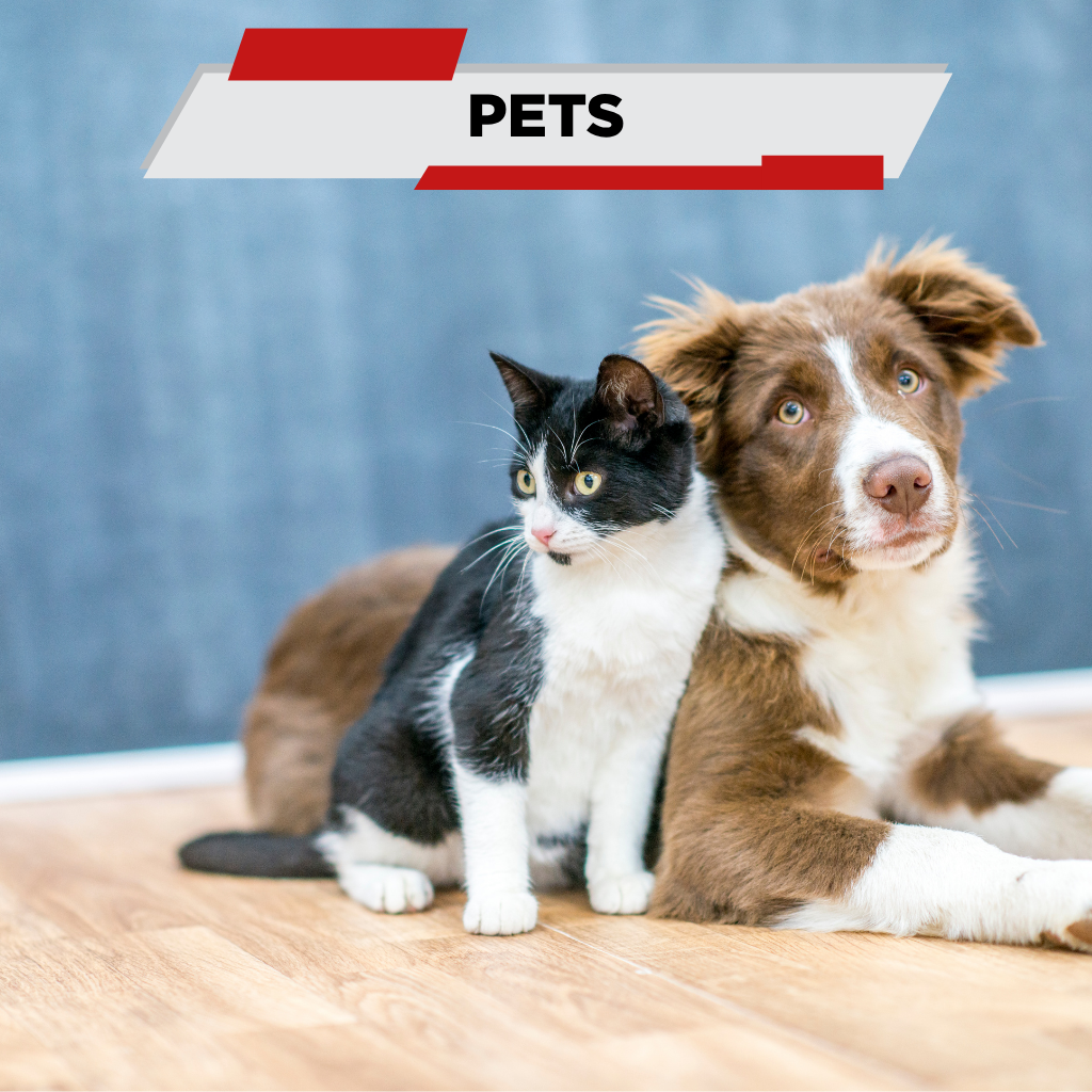 Pets