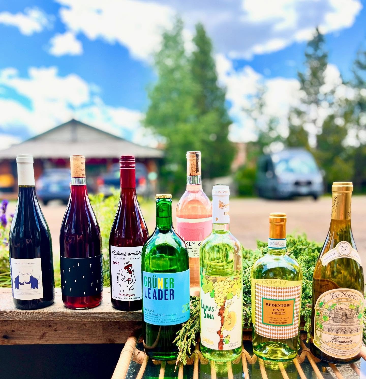 Old Bar, New Trick: Wildly Good Wine. 

Our curated wine list is all about discovery&mdash;featuring organic, natural producers and underrated grapes&mdash;perfect for patio hangs.