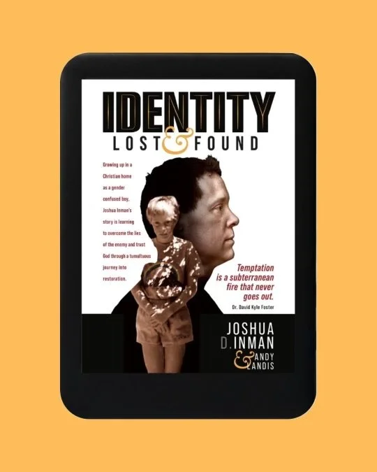 E-Book Identity Lost & Found