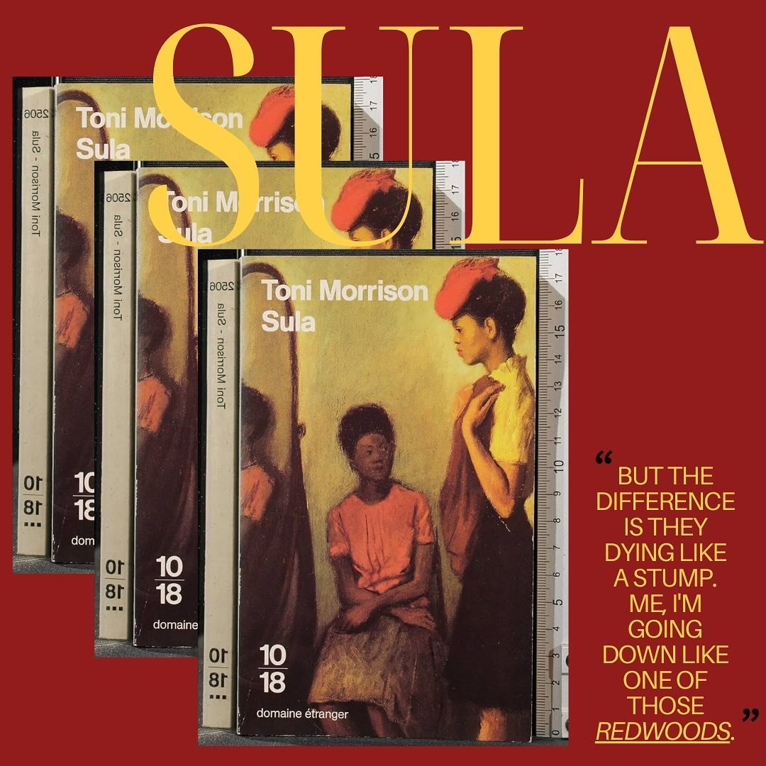 HOW MORRISON&rsquo;S TOWERING LITERARY GENIUS LED TO THE CREATION OF THE REDWOOD REVIEW.

*Stay tuned for website updates and open calls for submissions!

-

[ID 1: Image of Sula book covers lined up. It states a quote from Sula: &ldquo;&lsquo;BUT TH