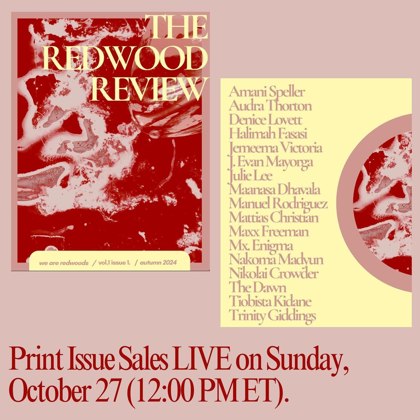 We will be launching the sale of our printed issue this Sunday at 12PM EST! Support our journal and the effort of dozens of writers and artists who made this issue possible! 

All net profits will be donated directly to WNC hurricane aid. More inform