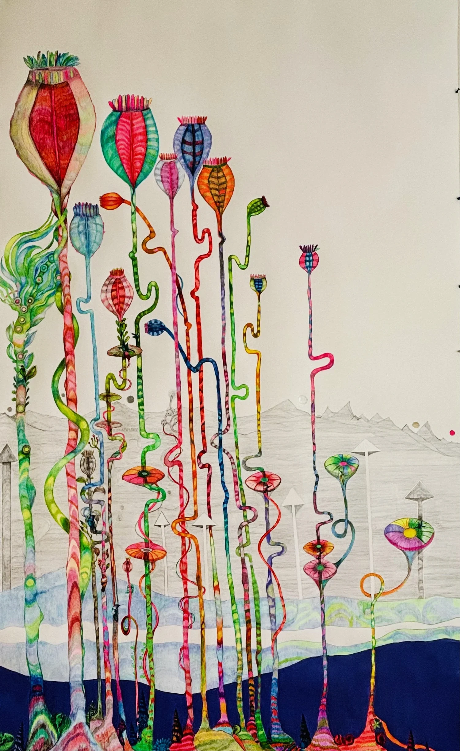 Poppies in Autumn.
imaginary poppy seed pods growing on a riverbank. 