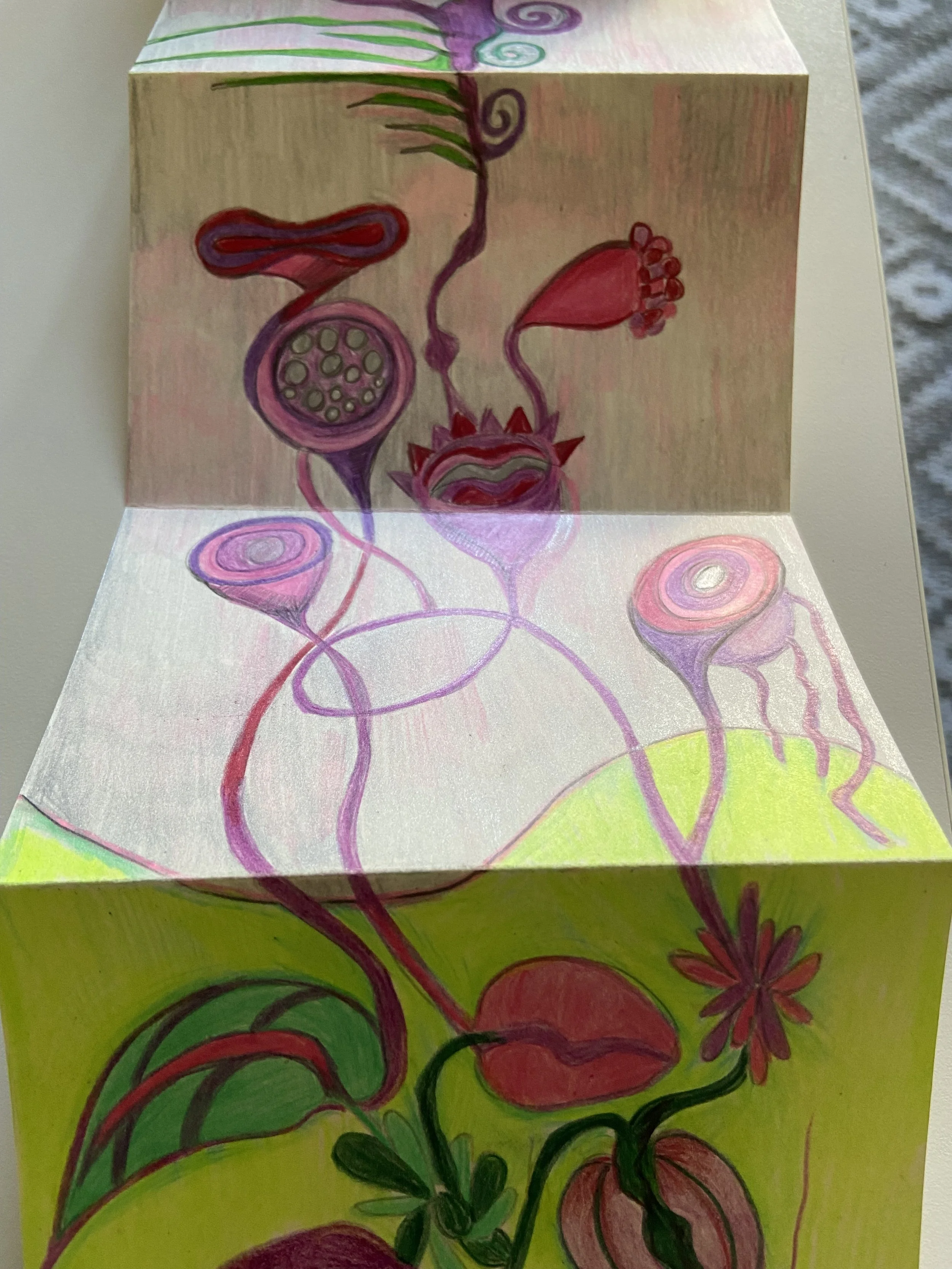 1. Leperello section