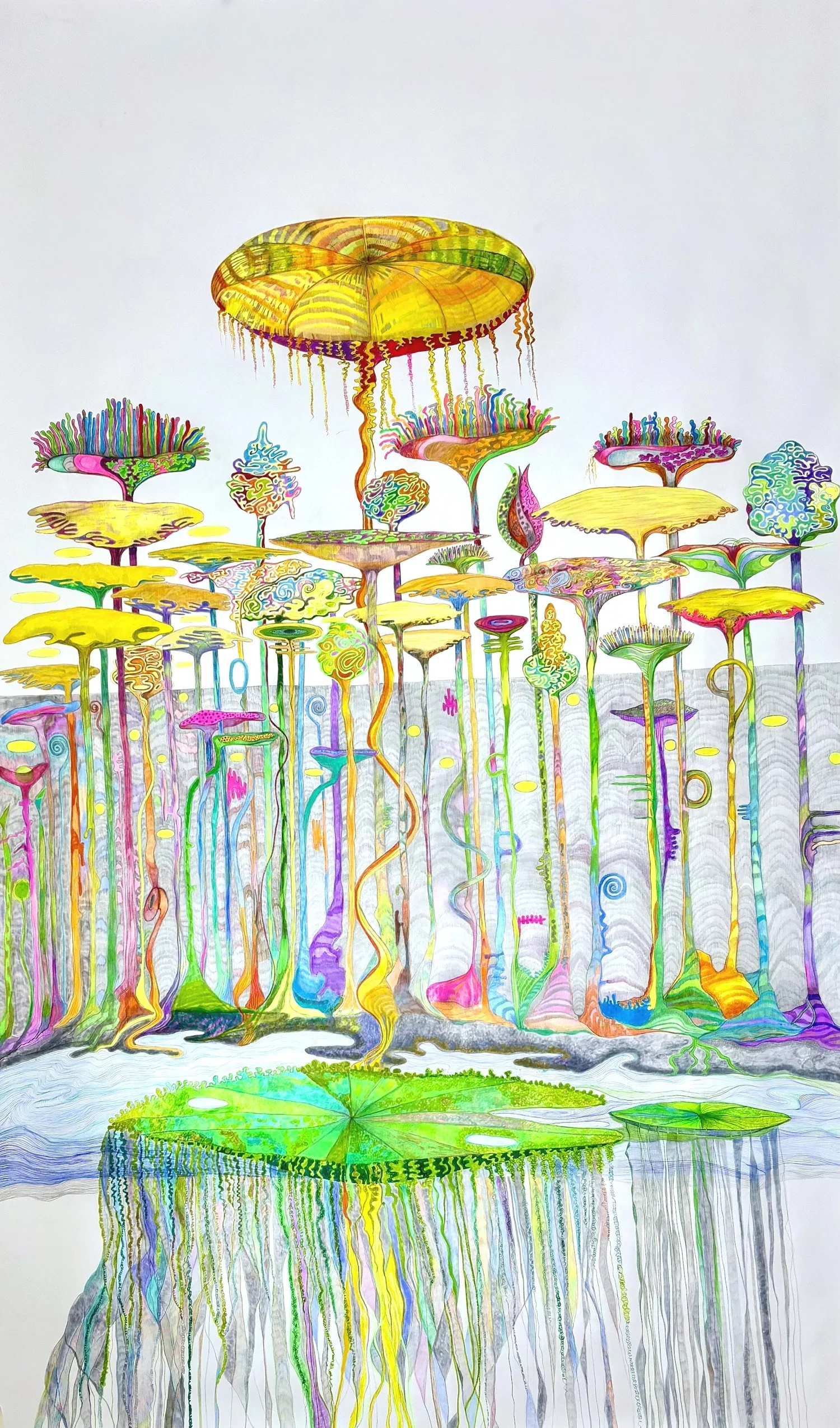 Yellow canopy plants.
Imaginary canopies of protection.