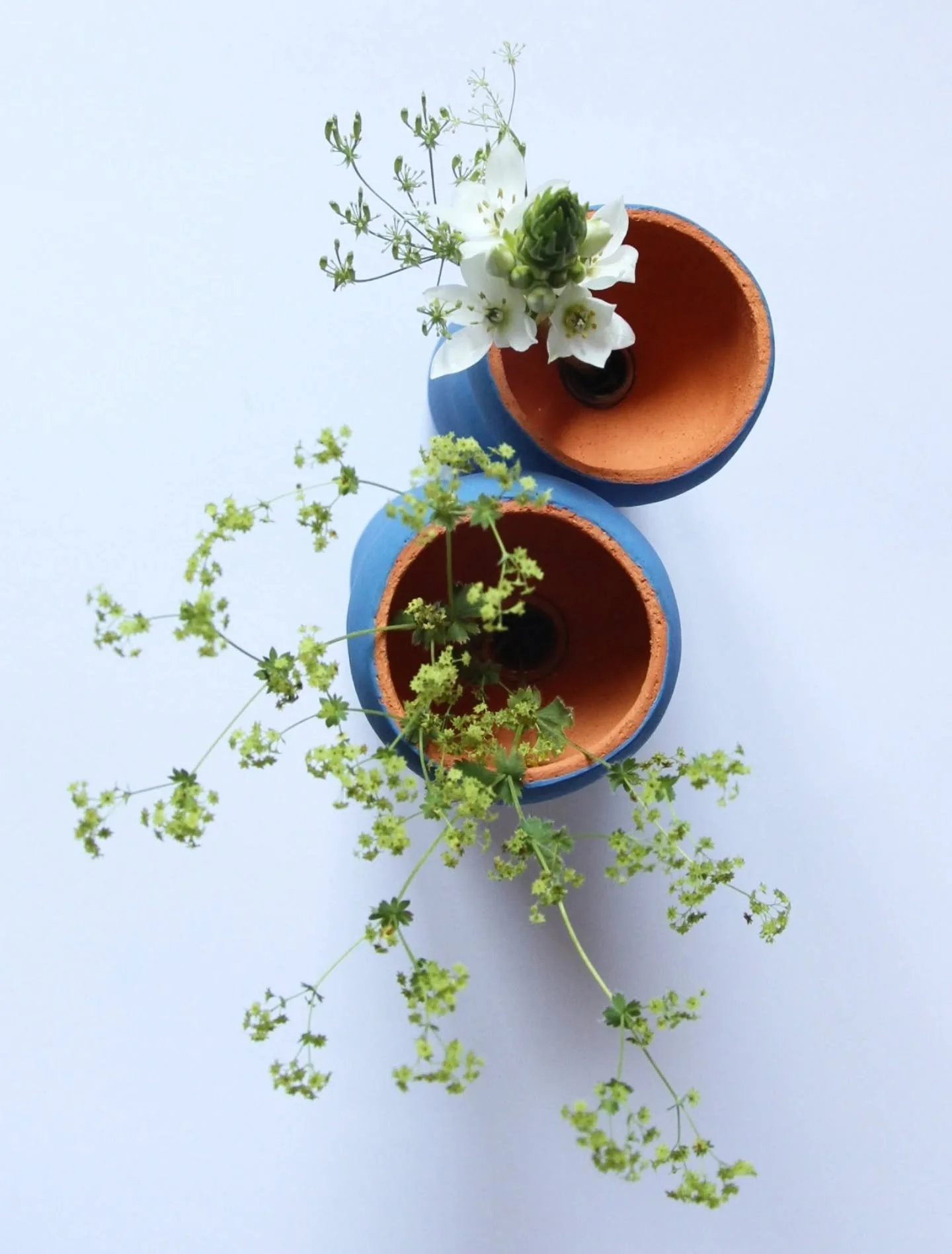 #flowers #spring #vase #interiorcolor #homedecor