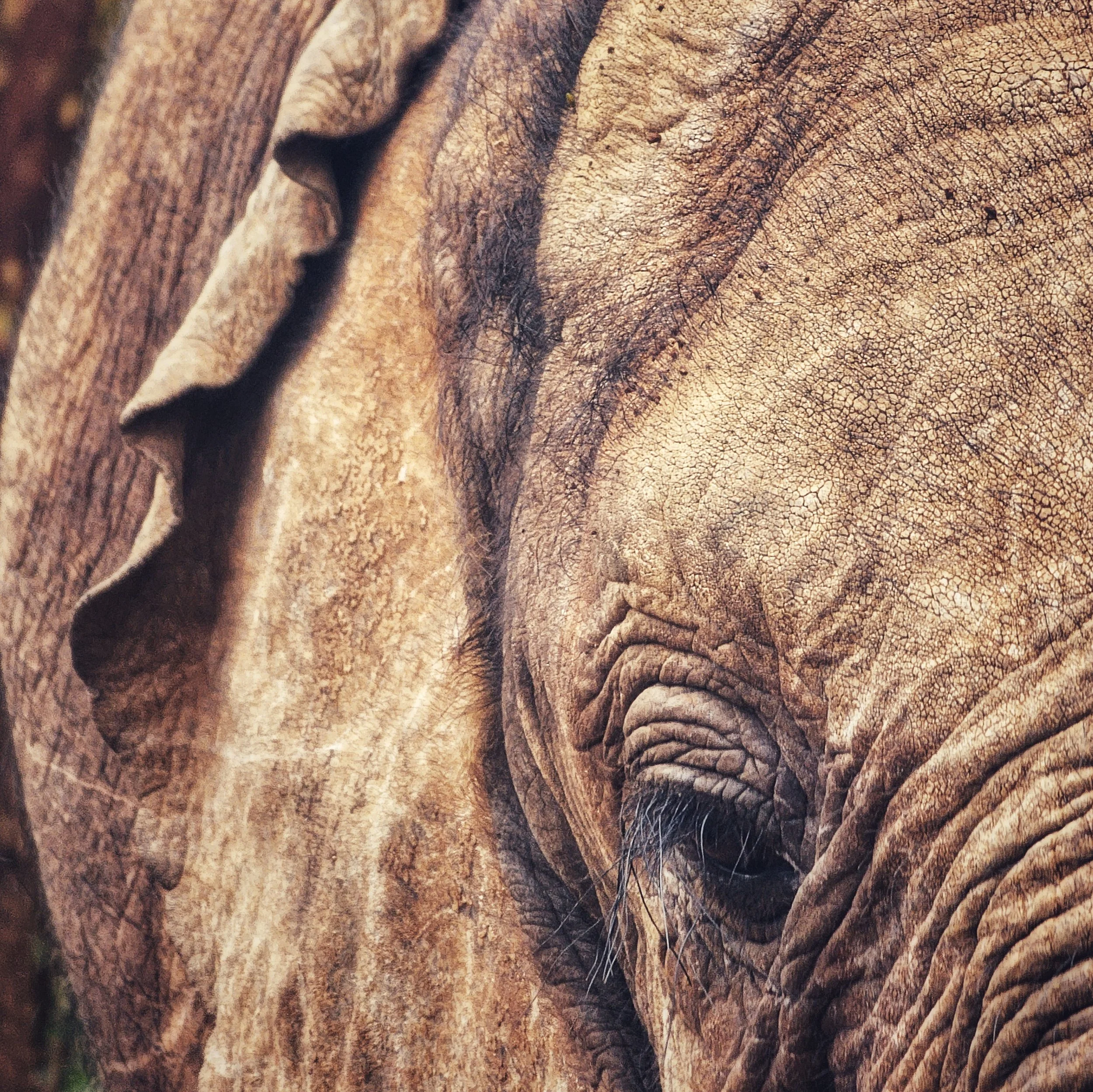 1000015822-03 (1).jpeg