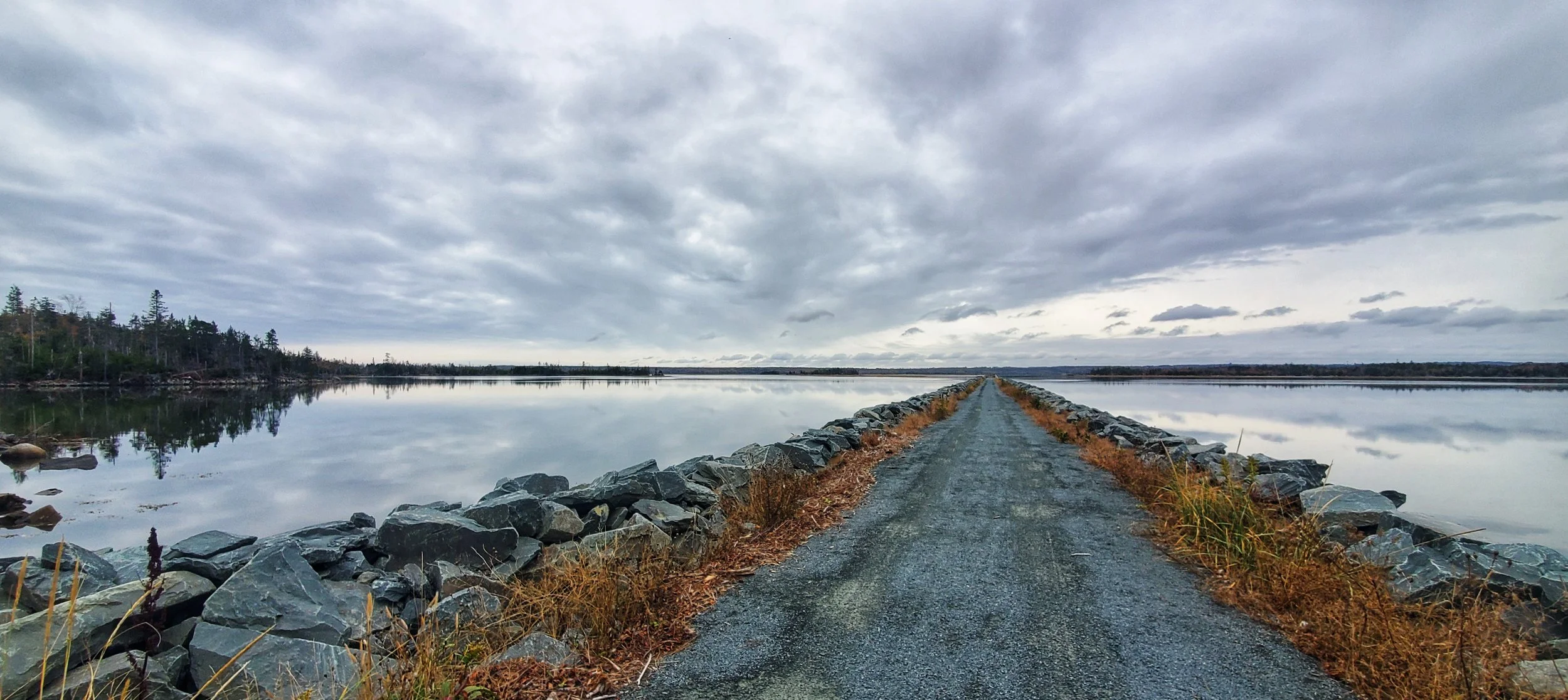 Salt Marsh Trail.jpeg