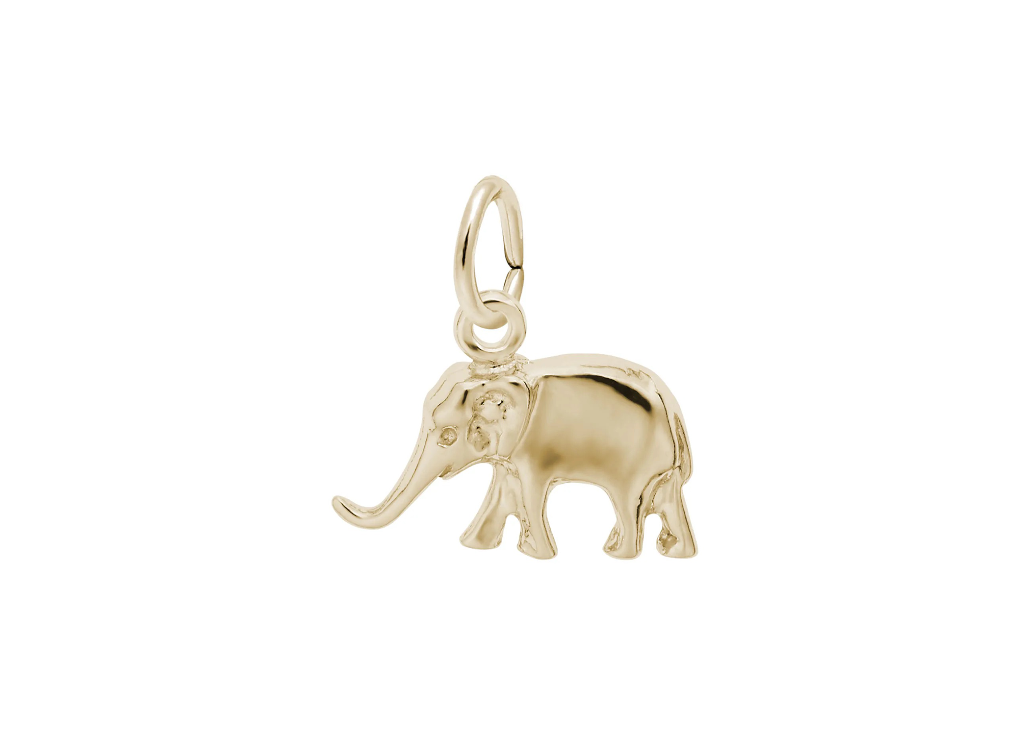 Small Elephant
