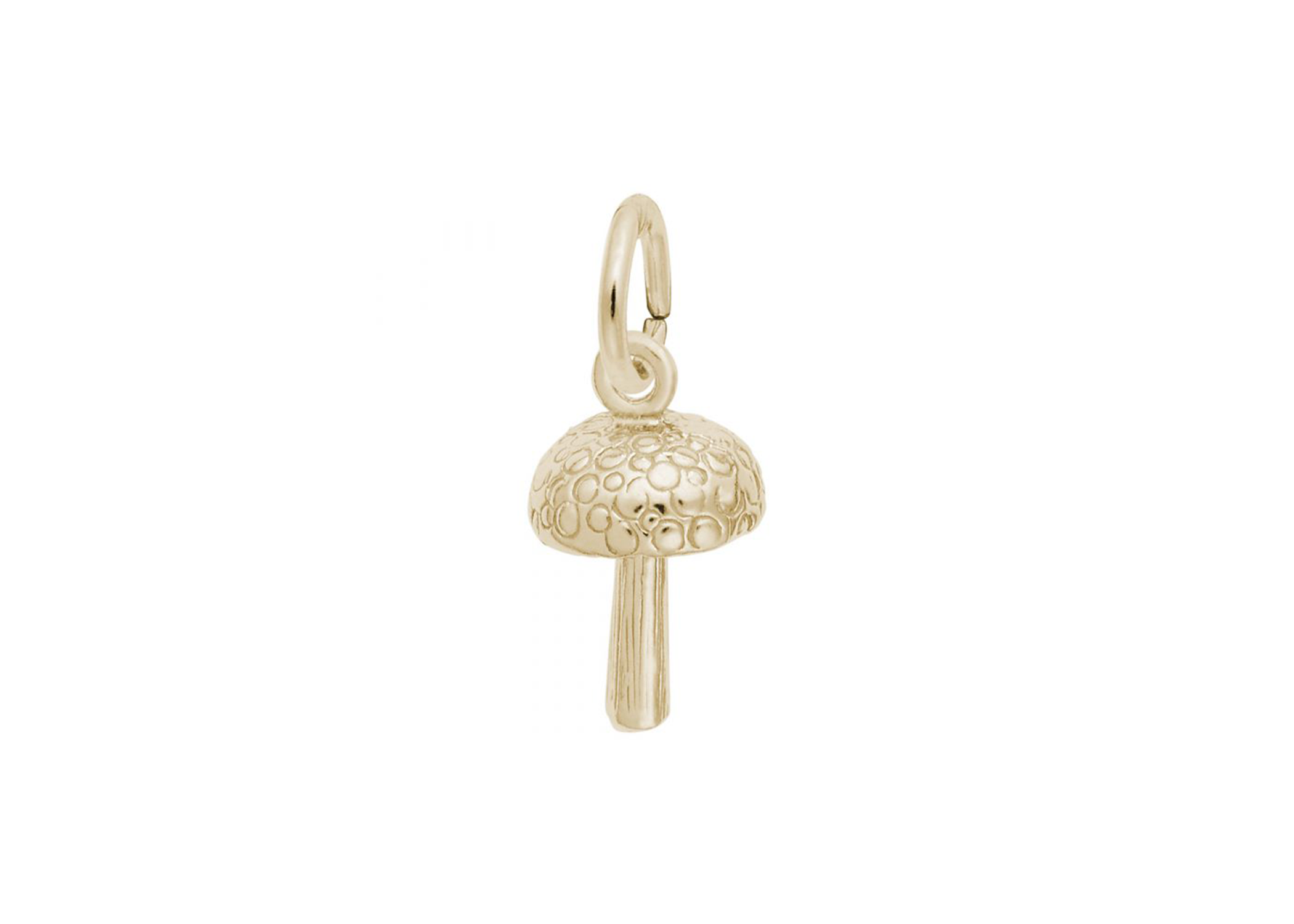 Mushroom Charm