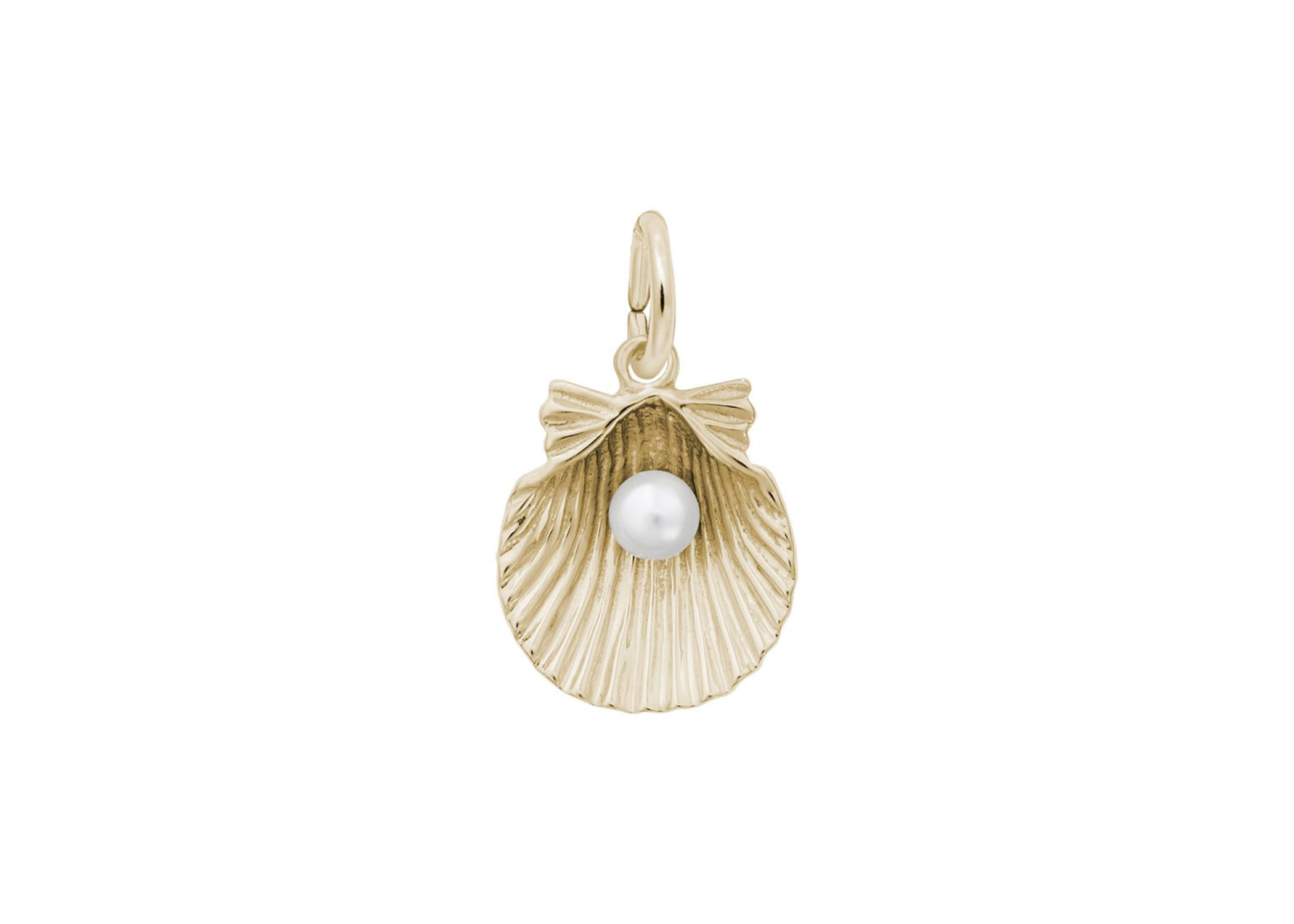 Scallop Shell With a Pearl