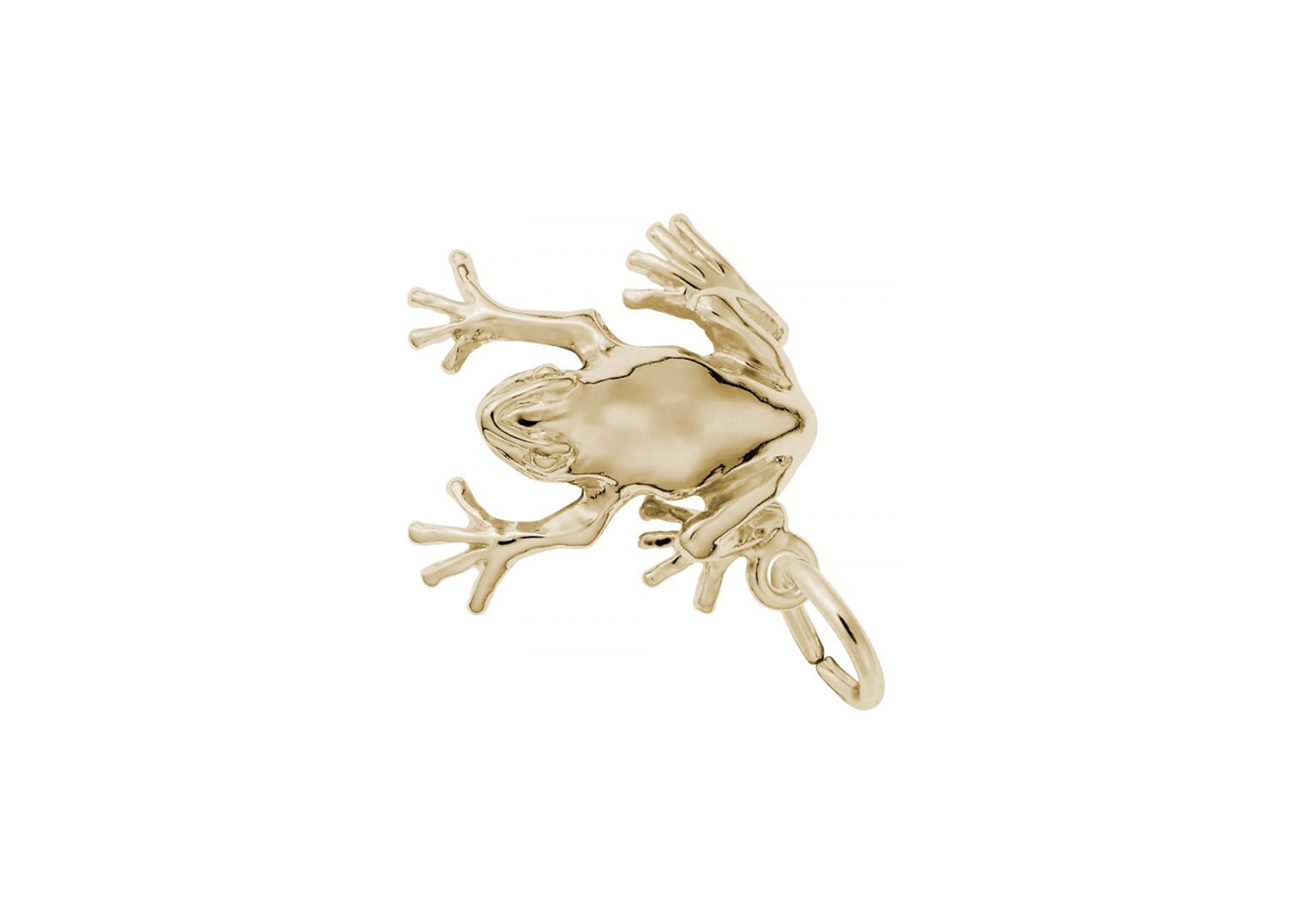 Frog Charm