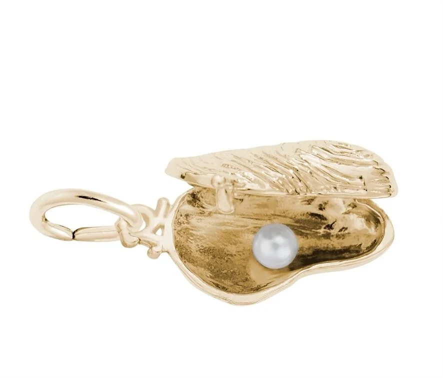 The World is your Oyster 🩷

One of our favorite graduation charms. Yellow gold with a hinged shell and pearl. Charming!

#graduationcharms #oystercharm #theworldisyouroyster #charms #bestcharms