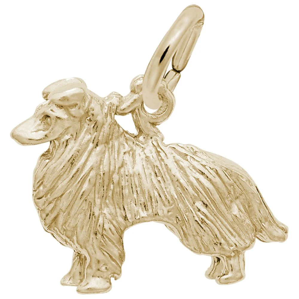 2403-Gold-Collie-RC.jpeg