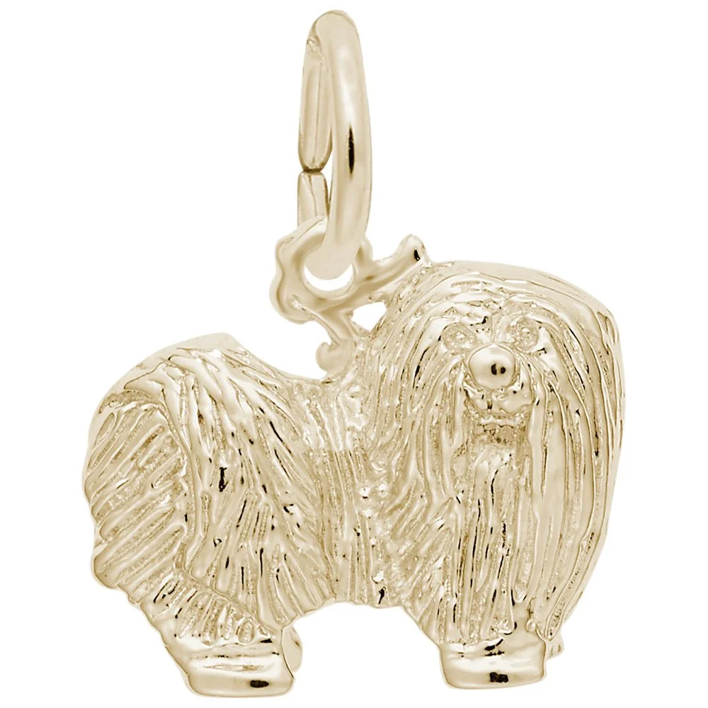 3740-Gold-Maltese-RC.jpeg