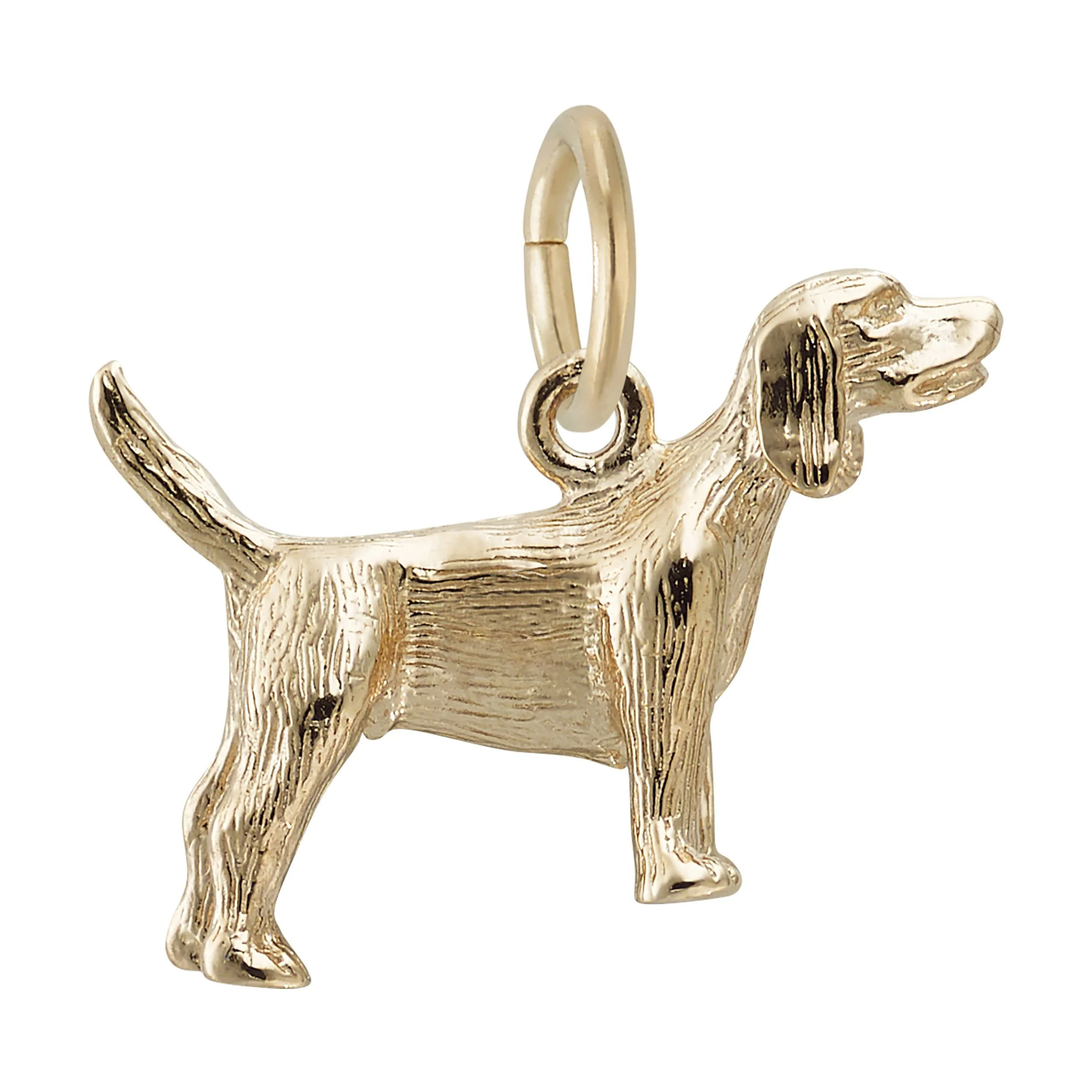 0149-Gold-Front.jpeg