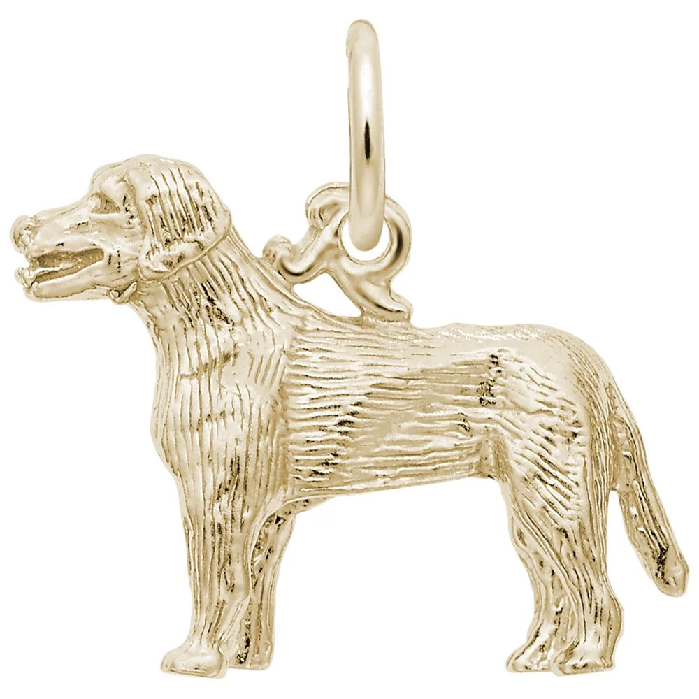 3453-Gold-Labrador-RC.jpeg