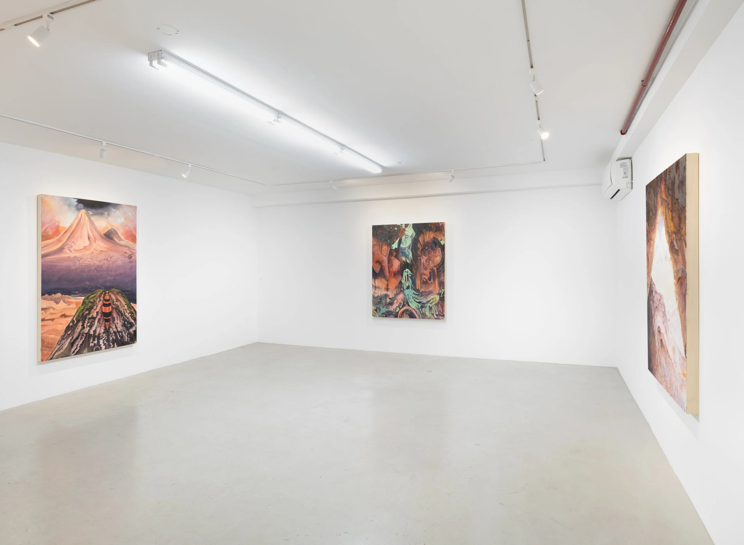 Art gallery with three colorful paintings on white walls and track lighting on ceiling.