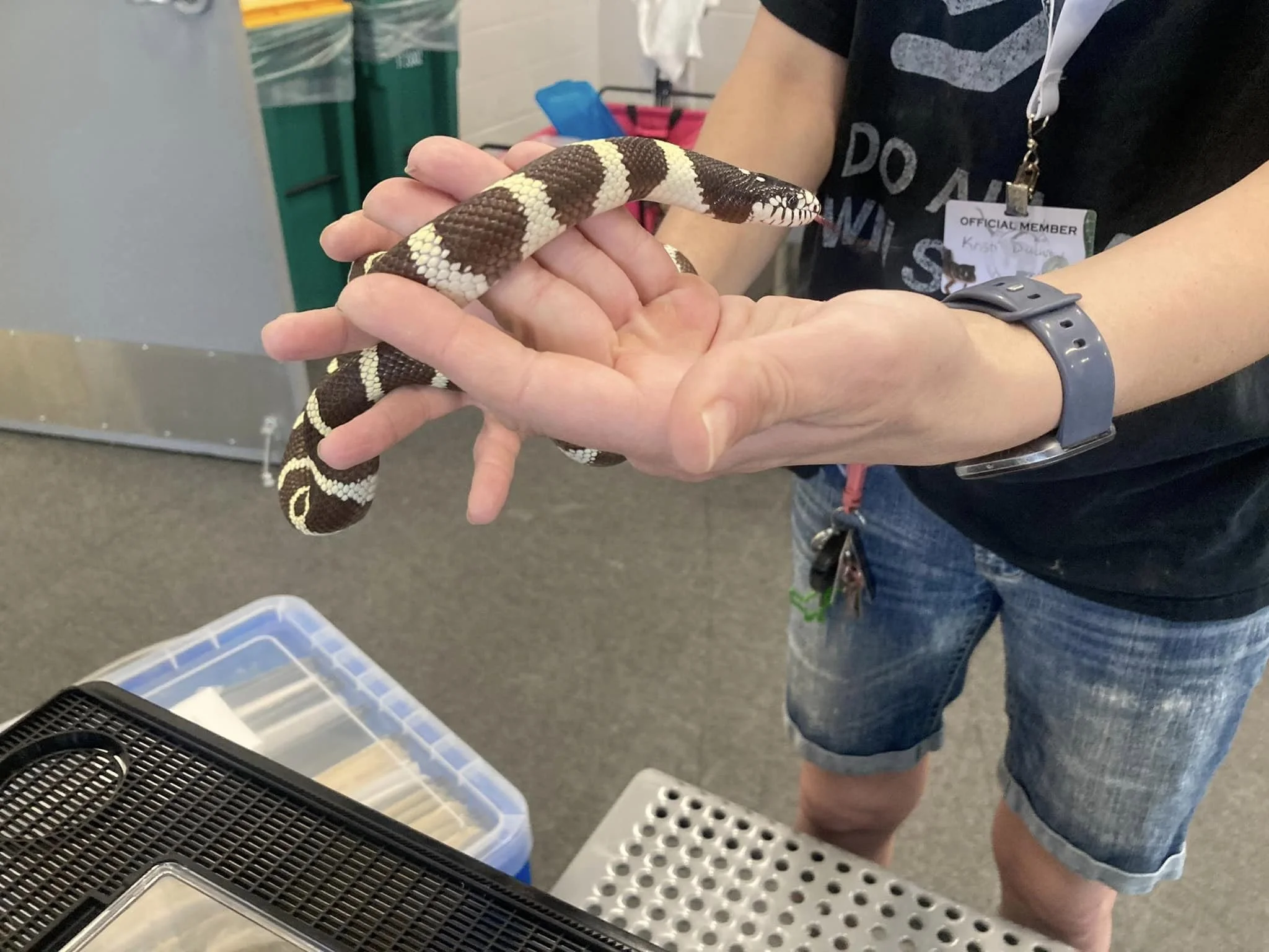 Wisconsin Herpetological Association