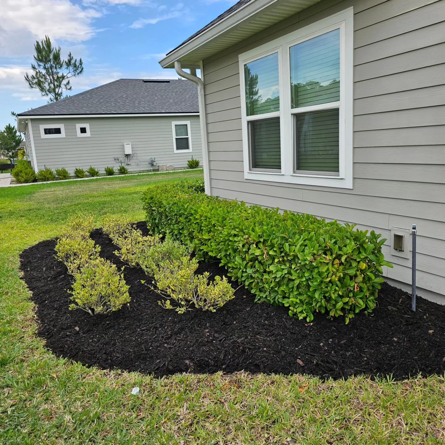 Black Mulch