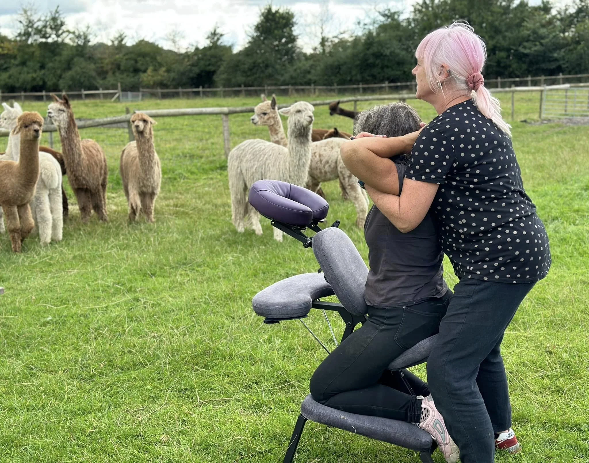 shiatsu alpaca farm 2.jpg