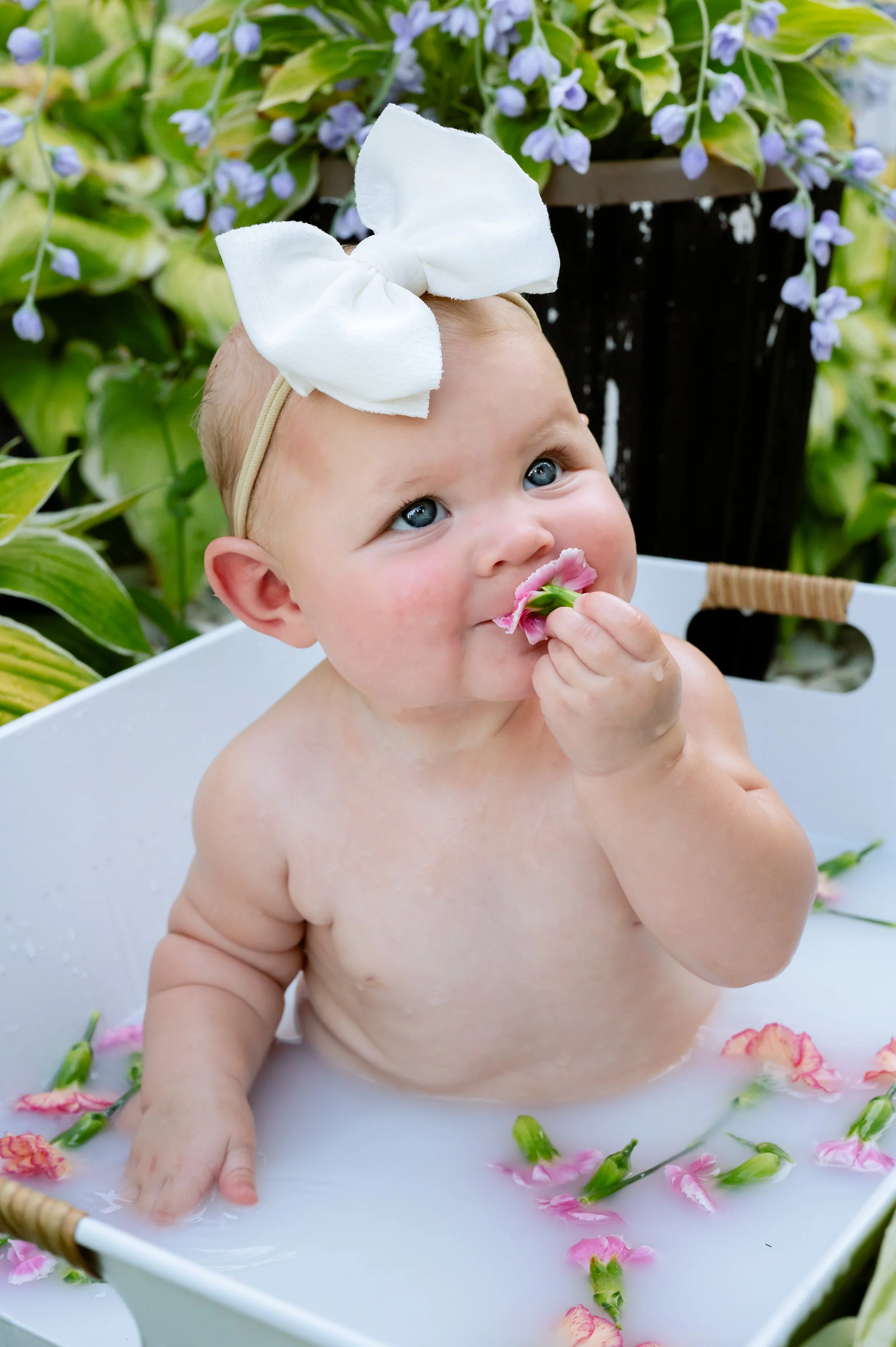 DSC_0979-Edit.jpg