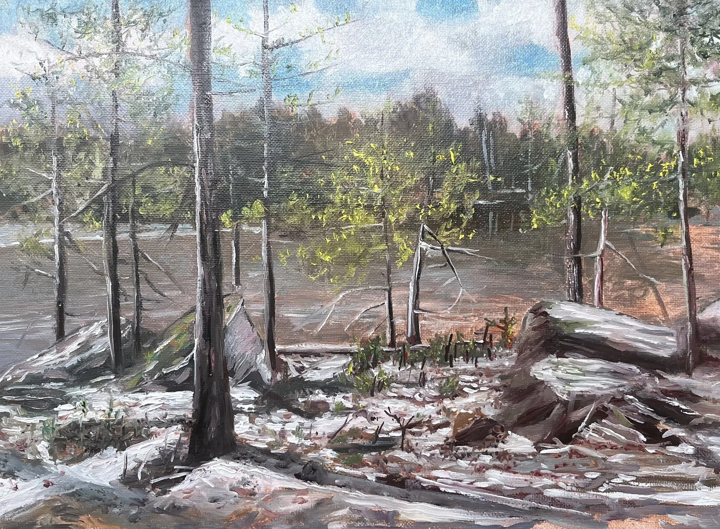 Onteora Lake in January