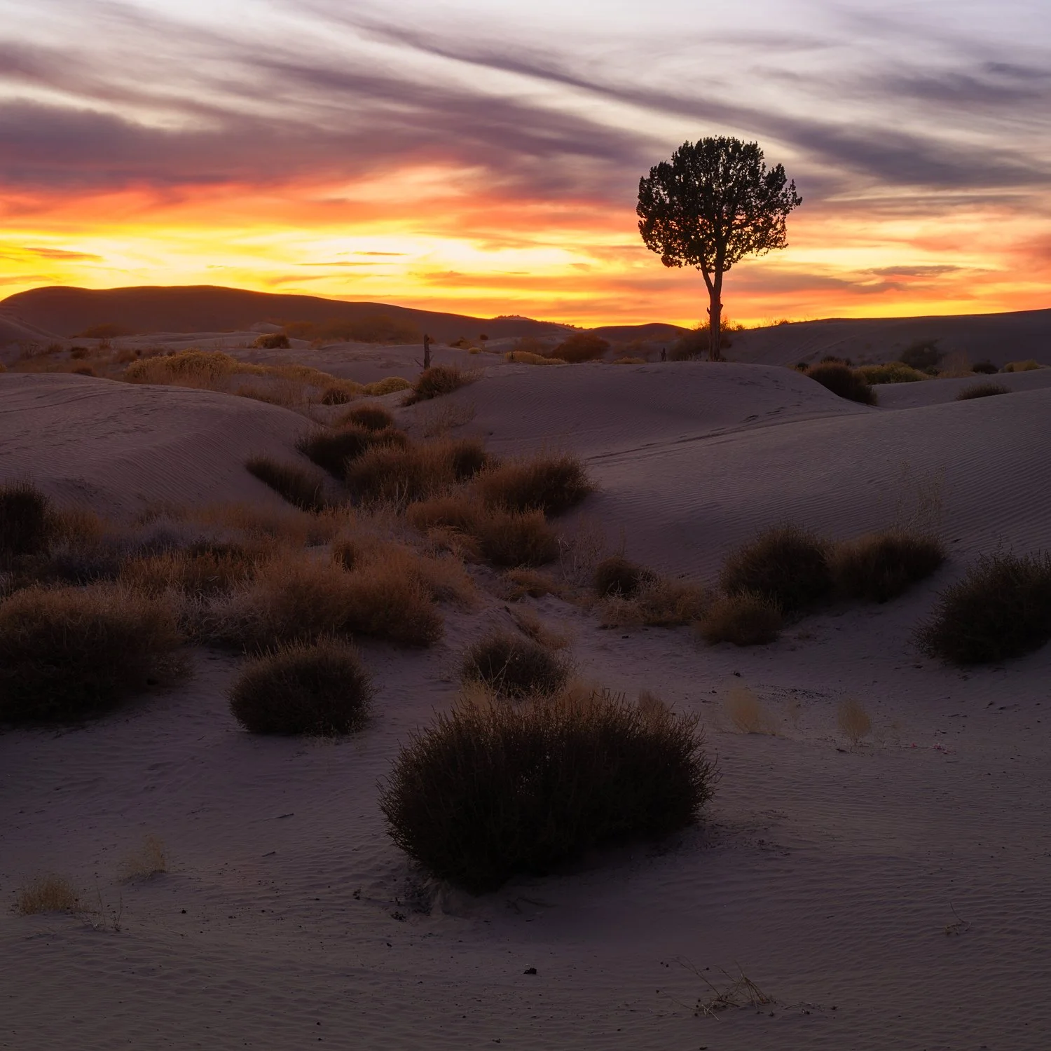 2025-12-15 19-23-34 (B,R1,S1)-Edit.jpg