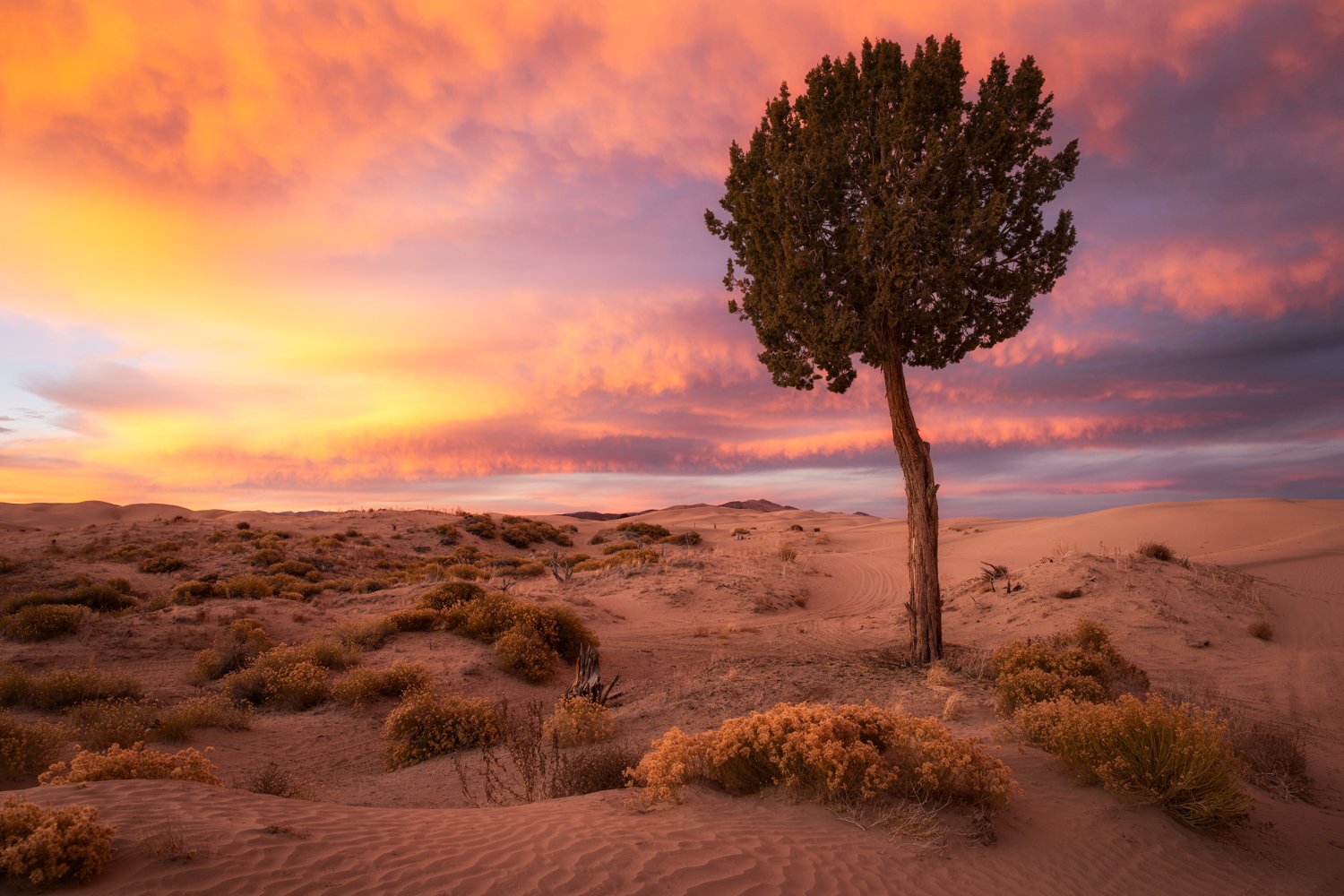 LIttle Sahara (342 of 381)-Edit.jpg