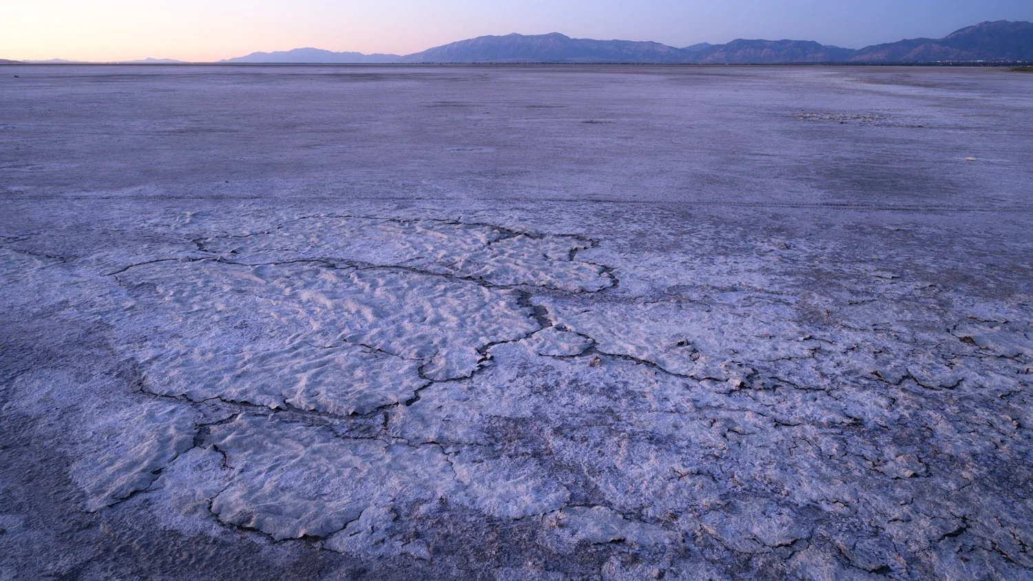 Puzzle pieces on the playa