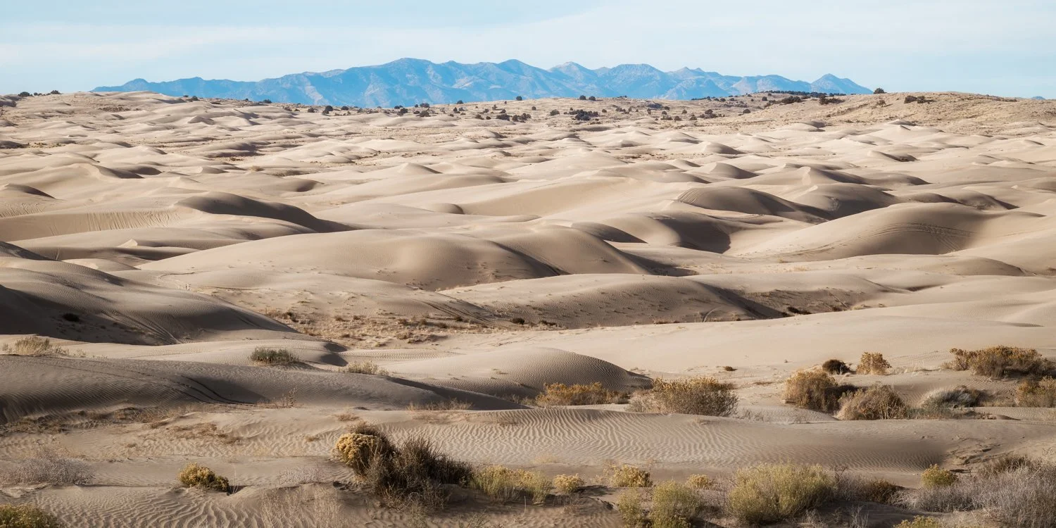 LIttle Sahara (10 of 381)-Edit.jpg