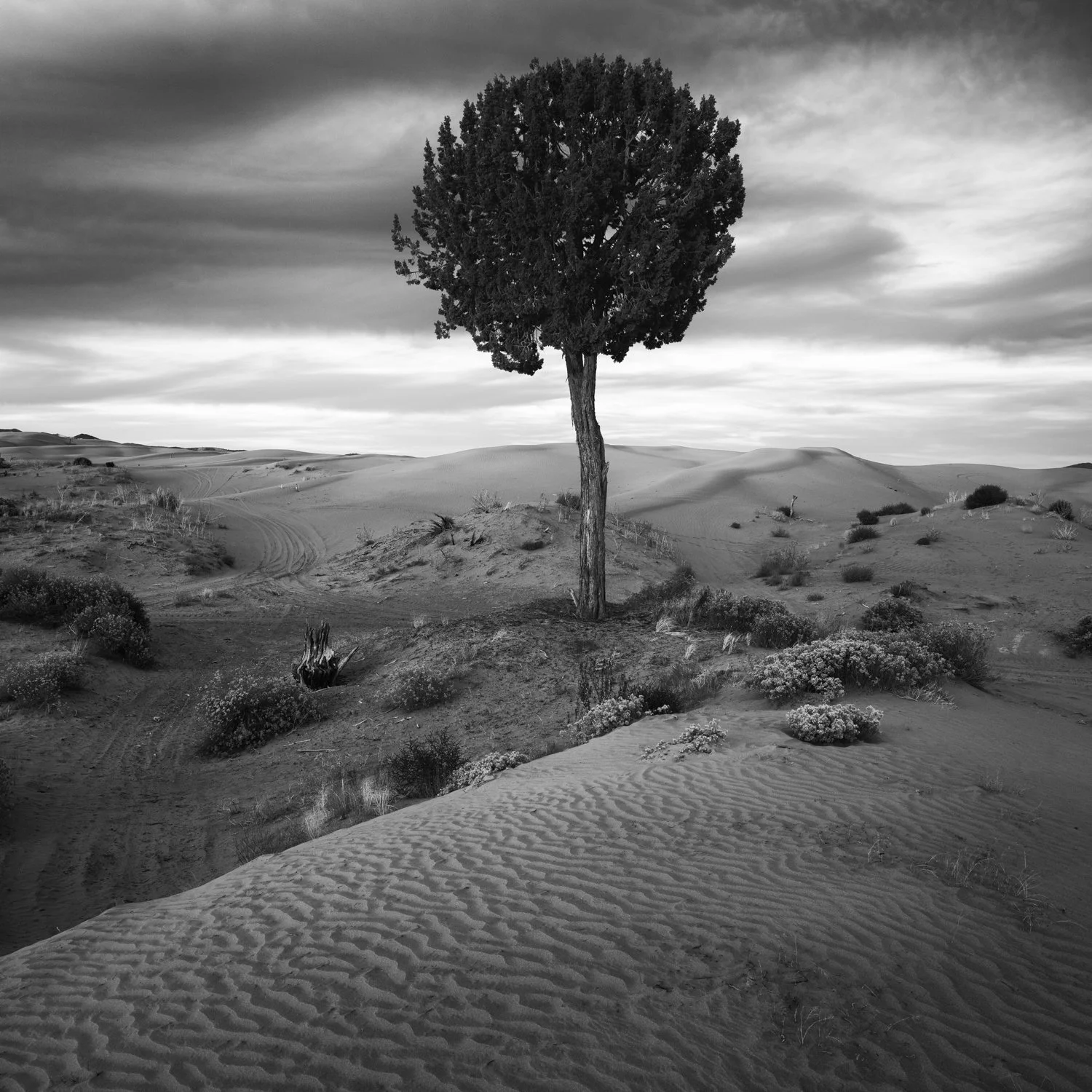 LIttle Sahara (259 of 381)-Edit.jpg