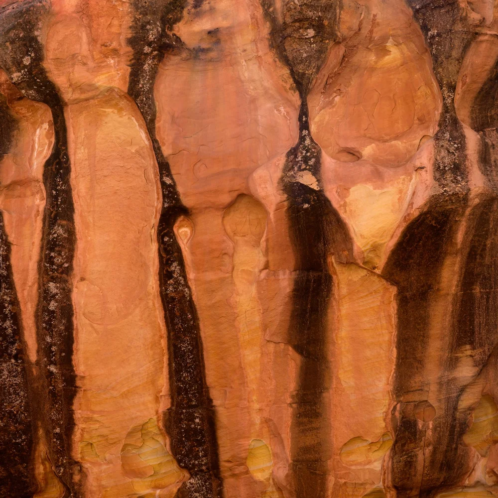 3-13 Capitol Reef (267 of 469)-Edit.jpg