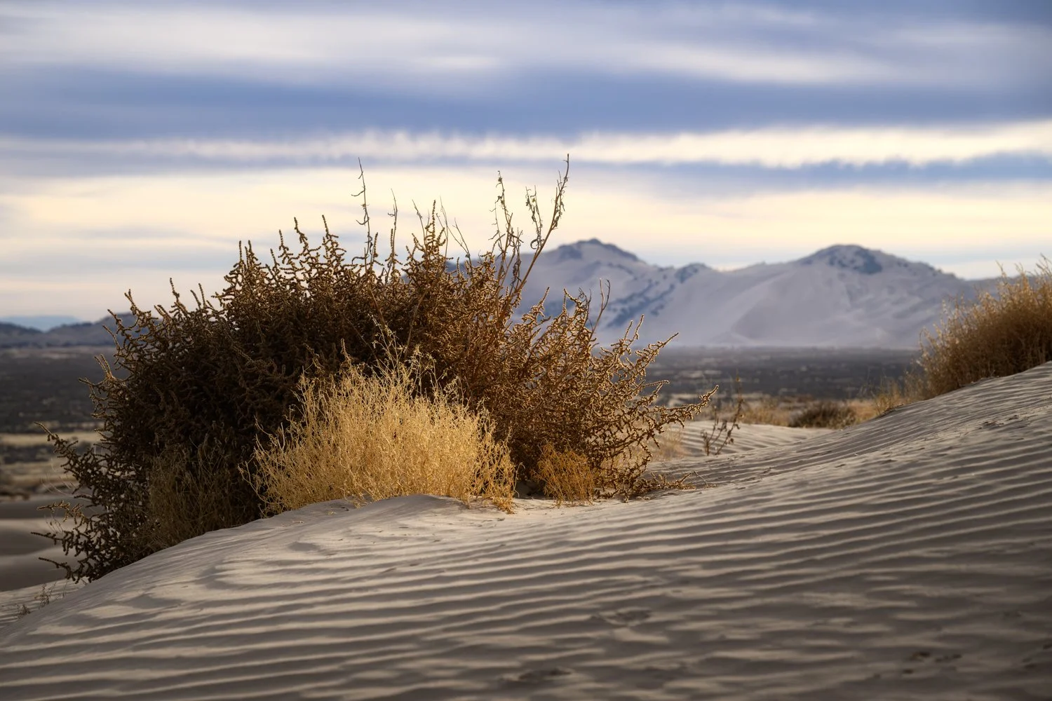 LIttle Sahara (68 of 381)-Edit.jpg